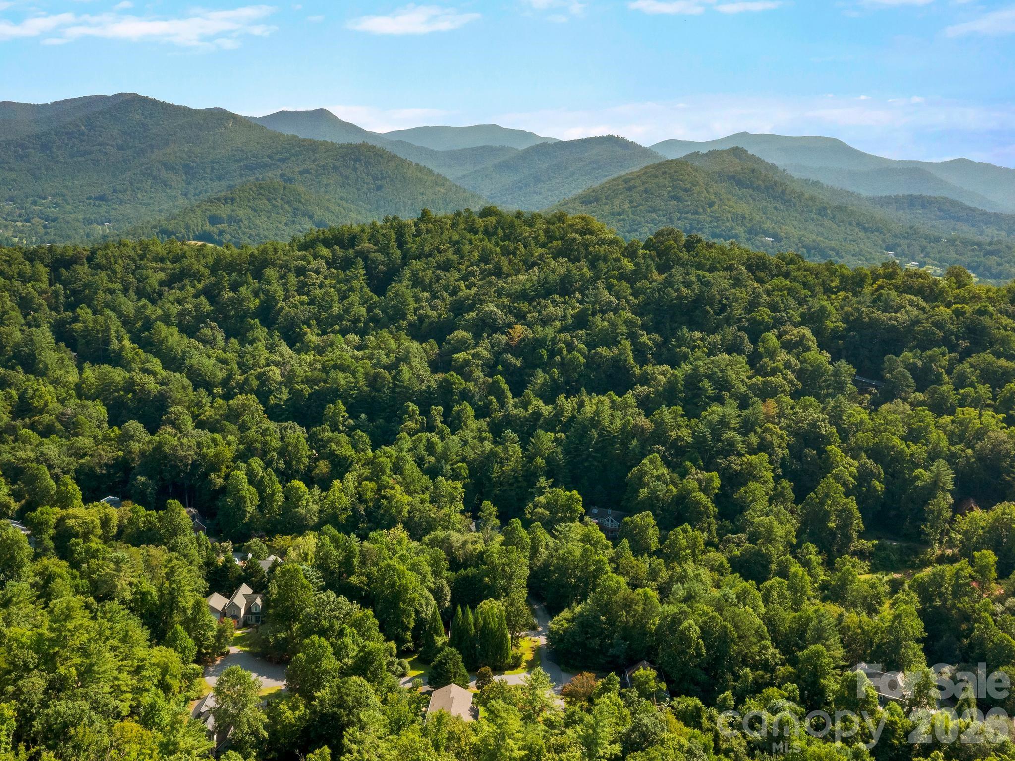306 Golden Hawk Trail — Asheville
