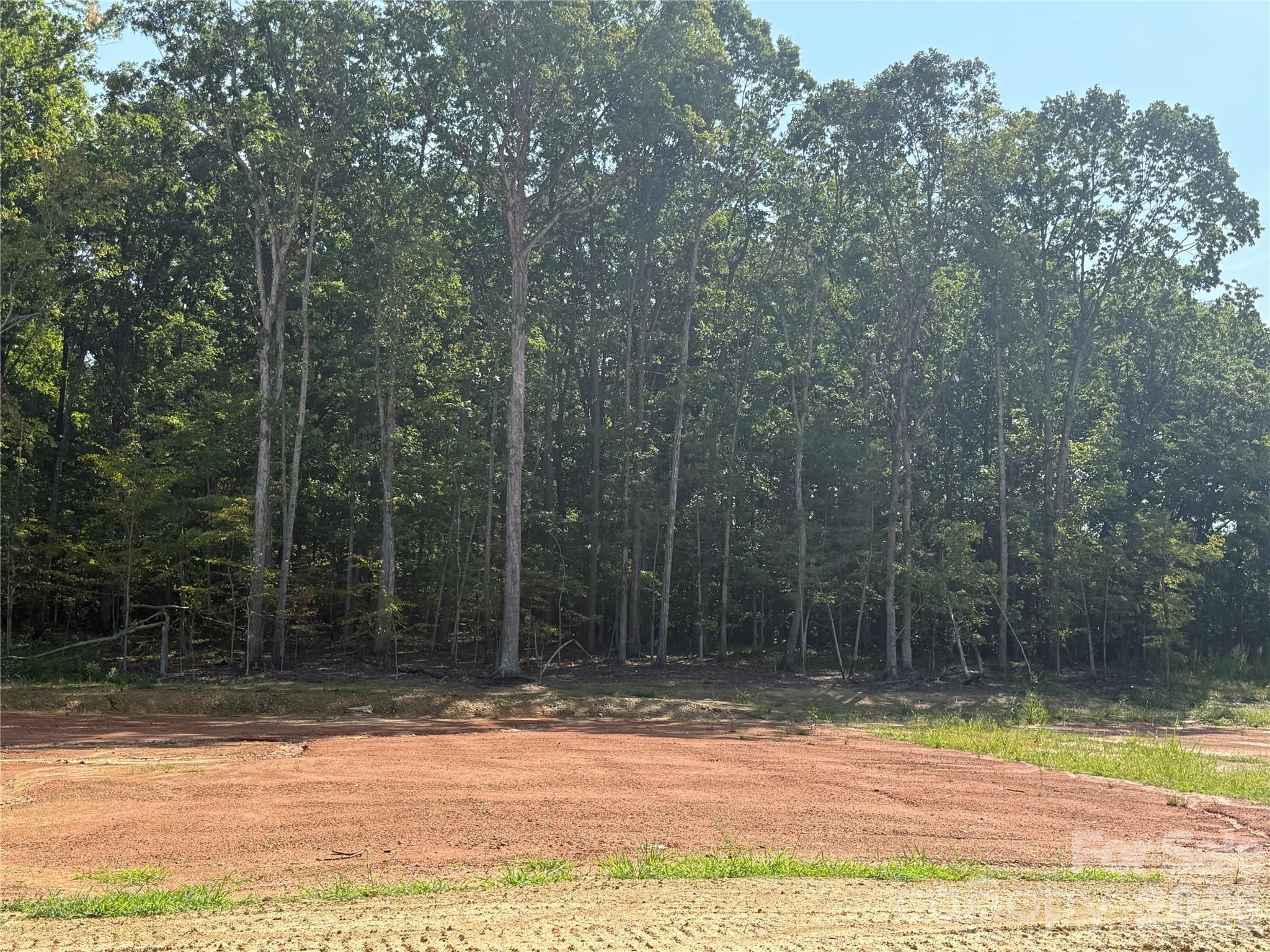 508 Deodar Cedar Drive — Weddington