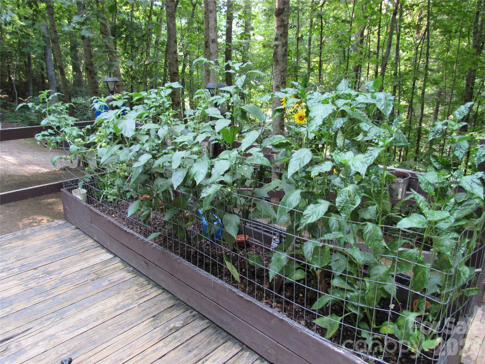 261 Warren Creek Road — Candler