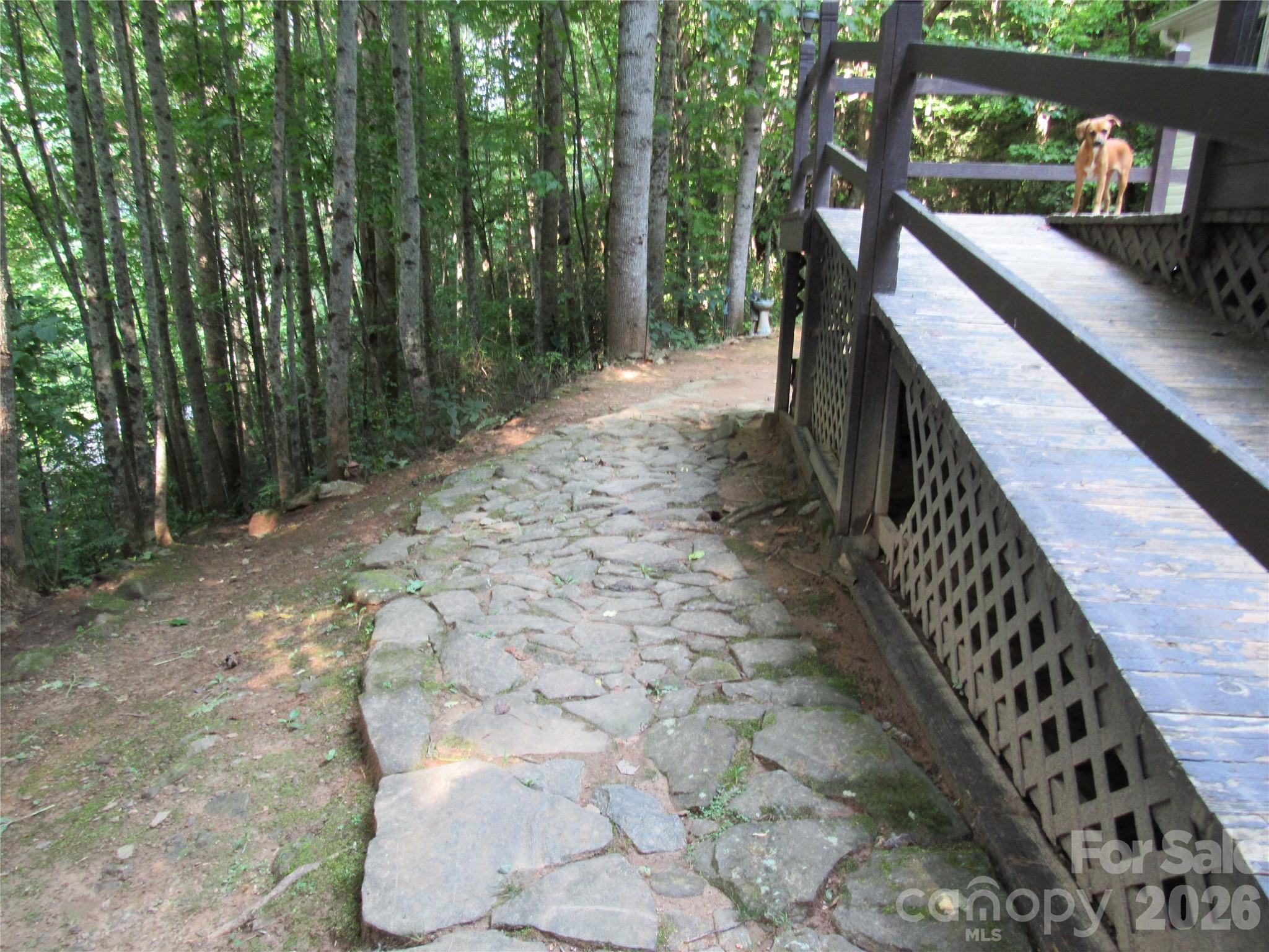 261 Warren Creek Road — Candler