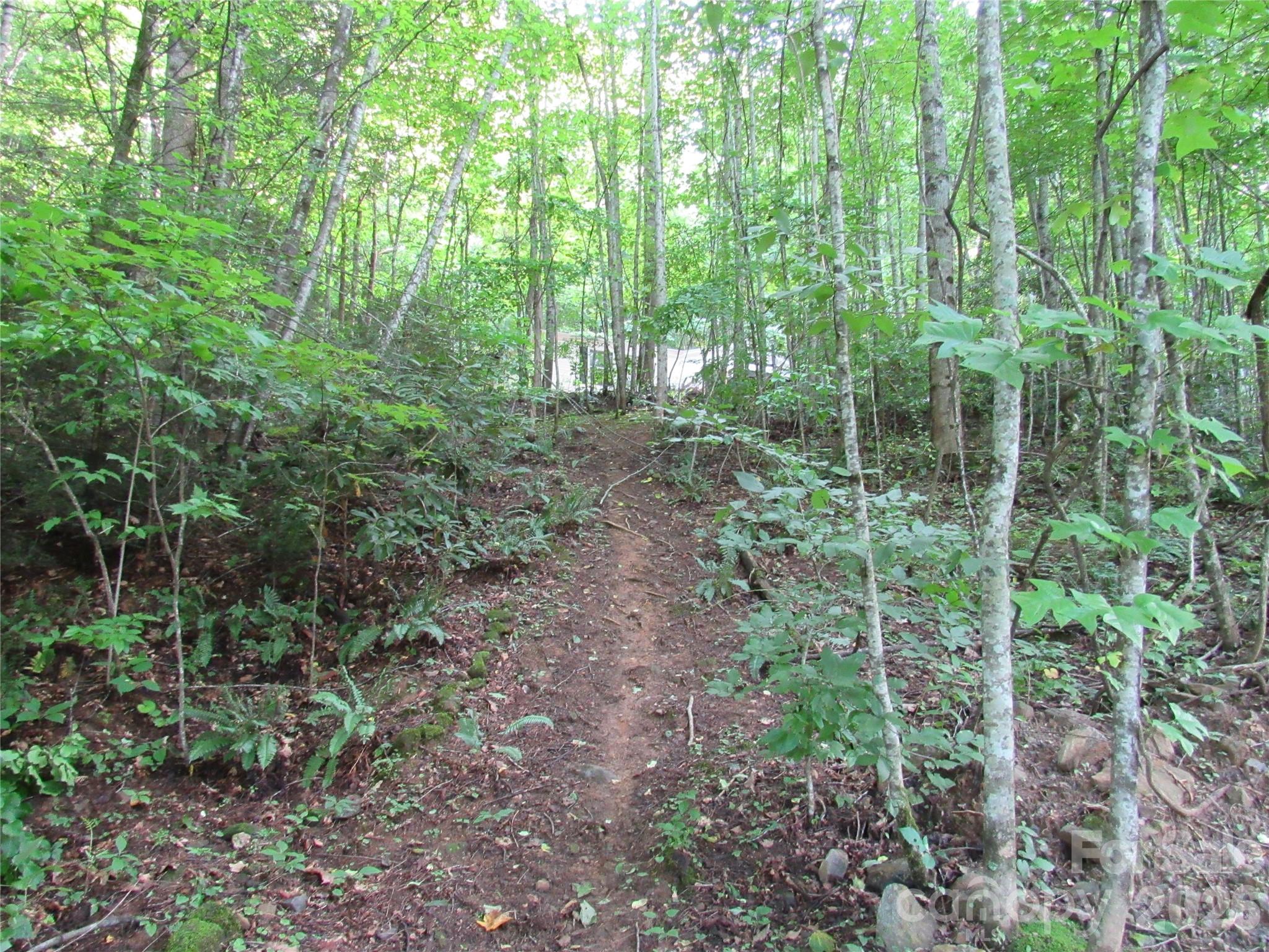 261 Warren Creek Road — Candler
