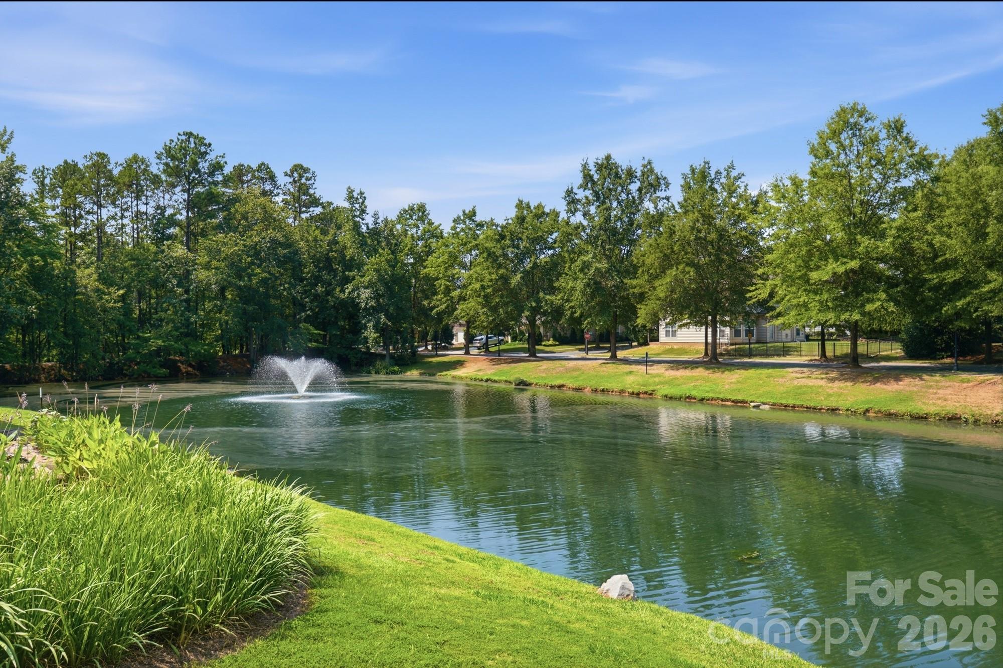 3016 Connells Point Avenue — Waxhaw