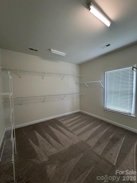 3119 Castlemaine Drive — Charlotte