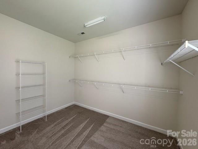 3119 Castlemaine Drive — Charlotte