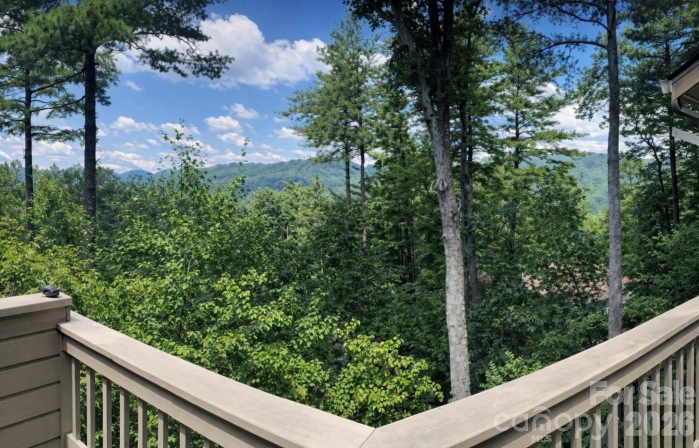 2902-A Timber Trail — Asheville