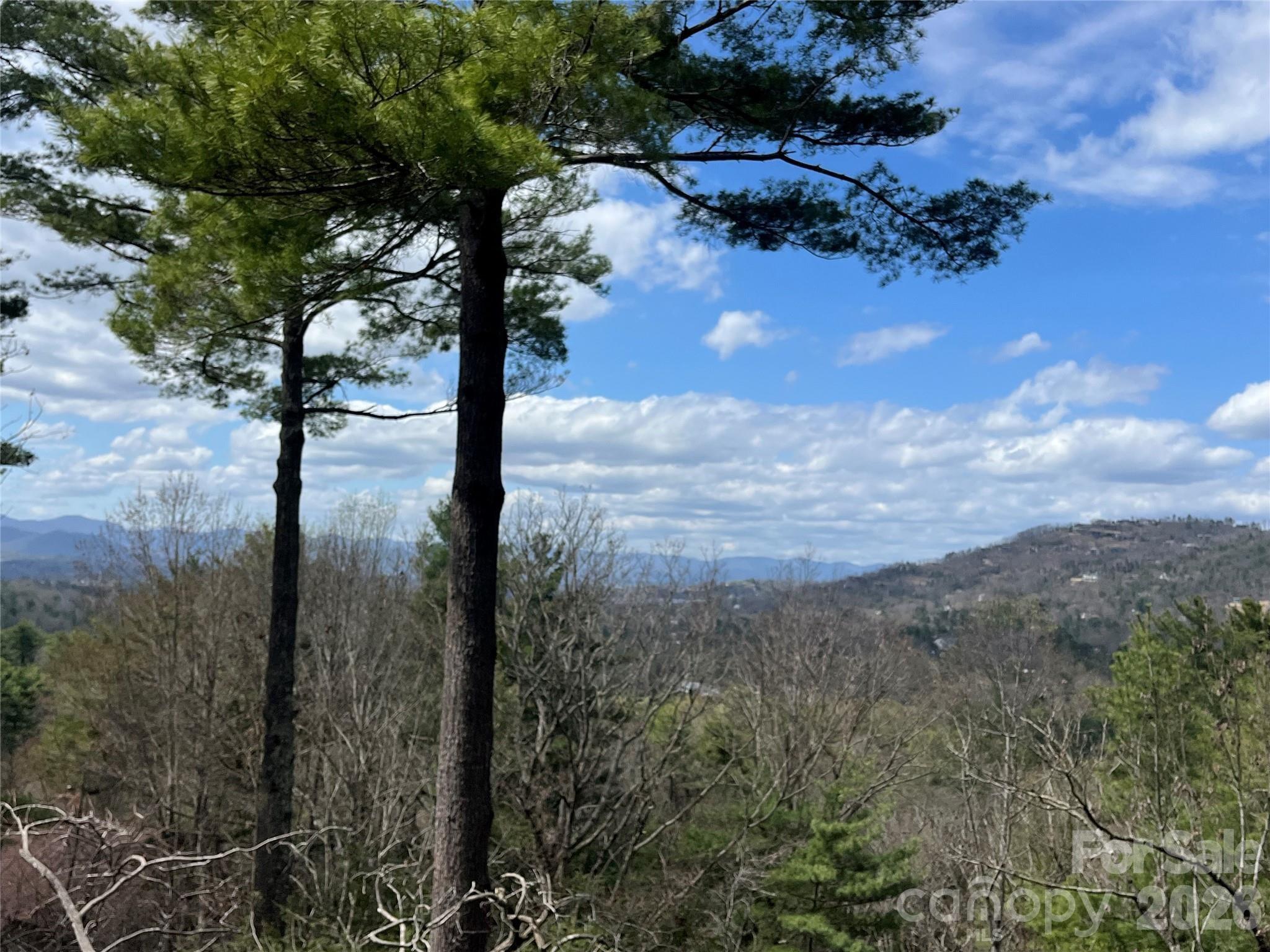 2902-A Timber Trail — Asheville