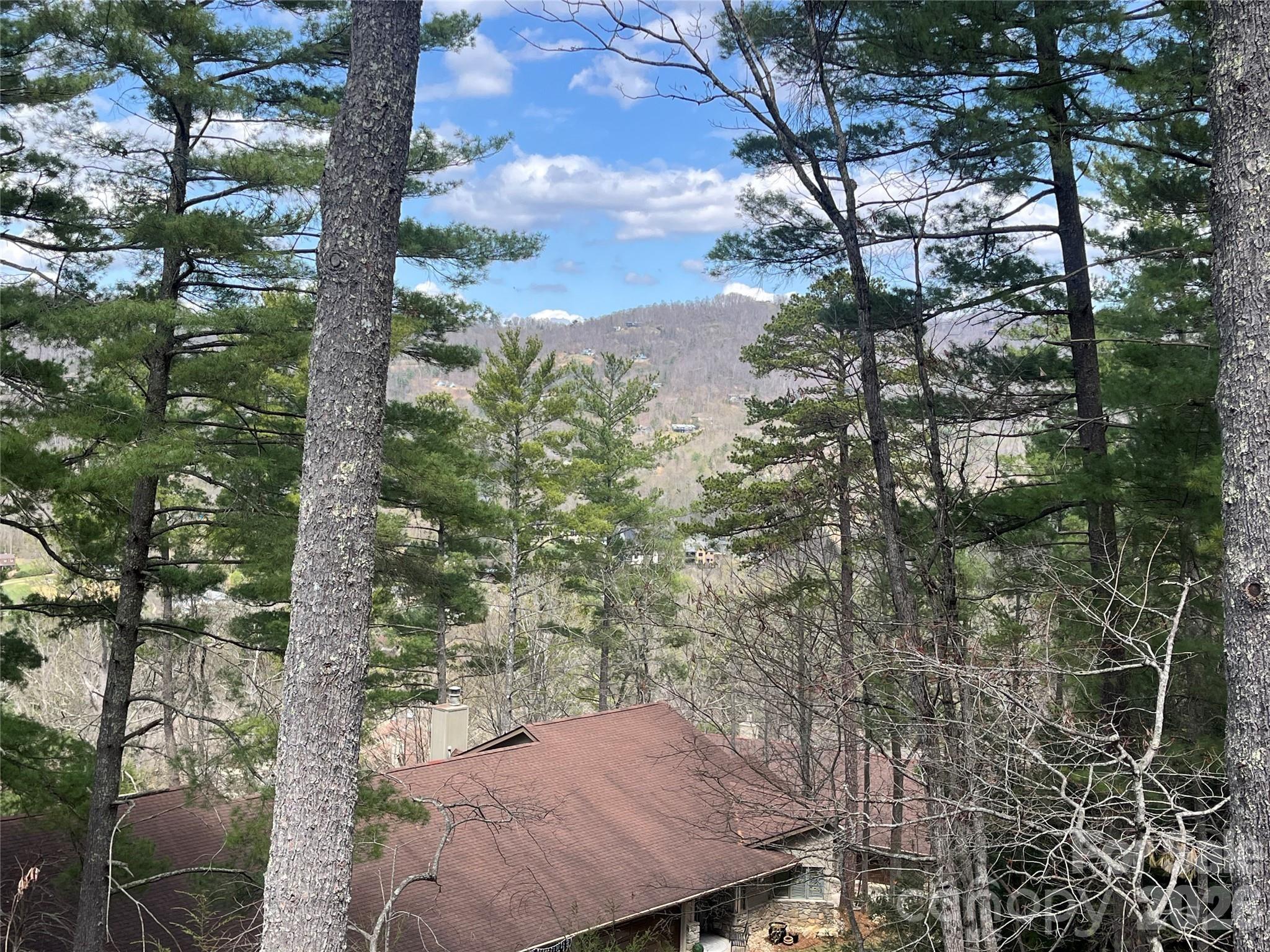2902-A Timber Trail — Asheville