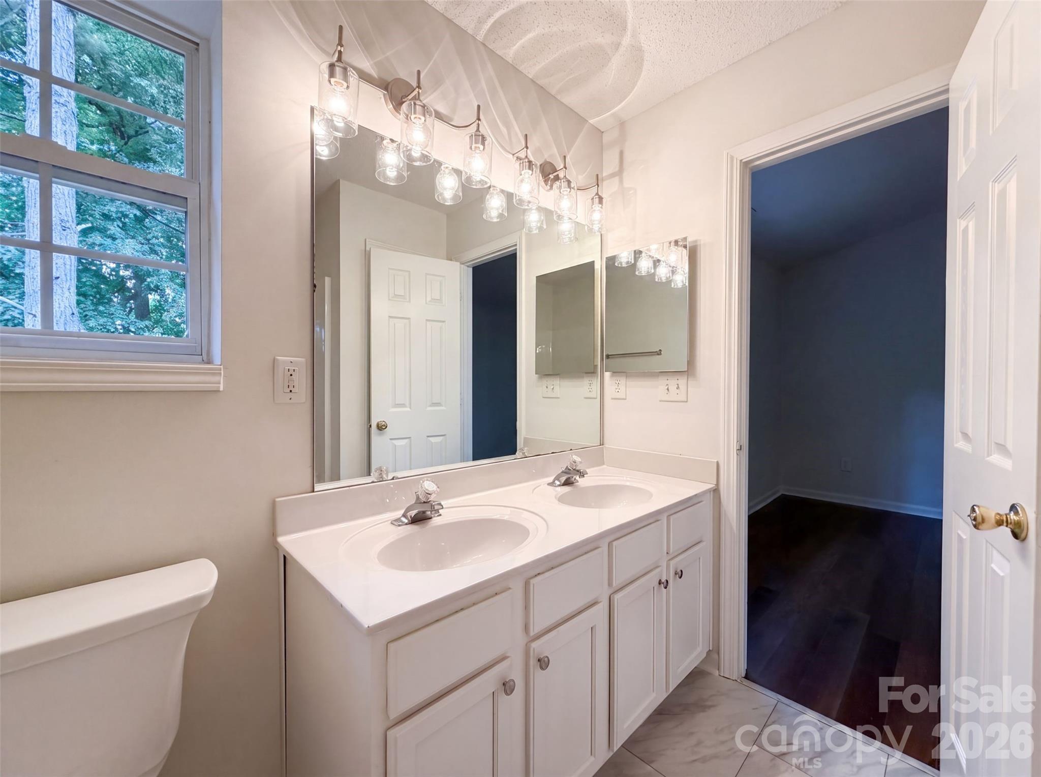 4165 Birch Leaf Court — Charlotte