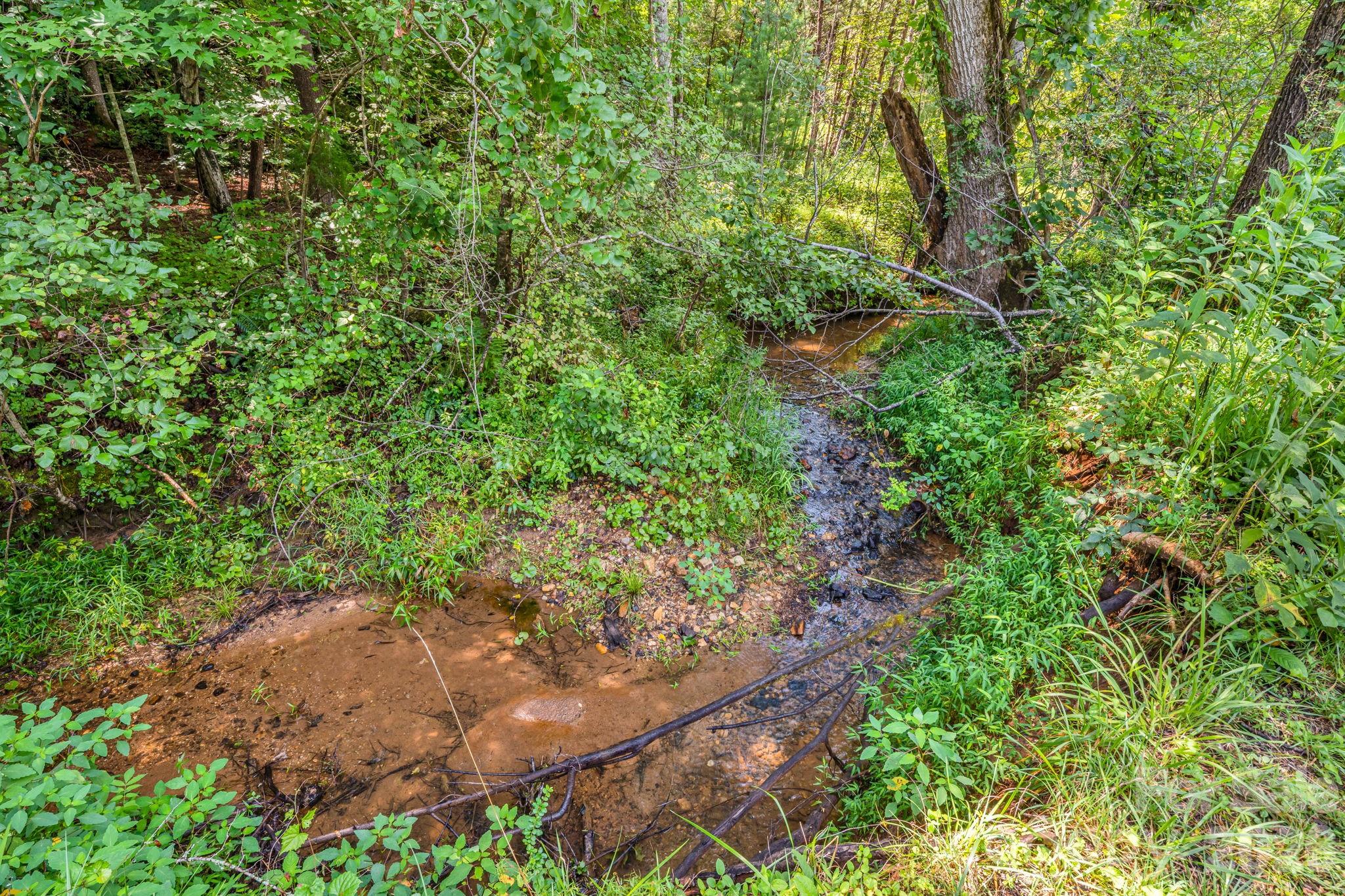 242 Whitney Boulevard — Lake Lure