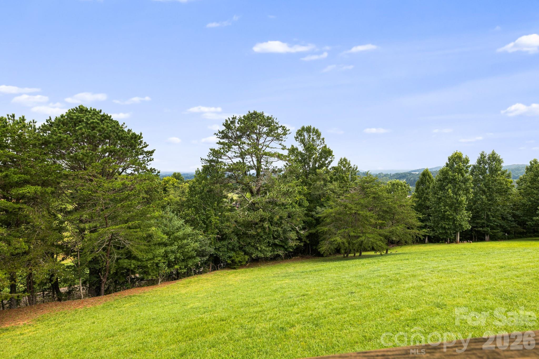 194 Cabin Hollow Drive — Marshall