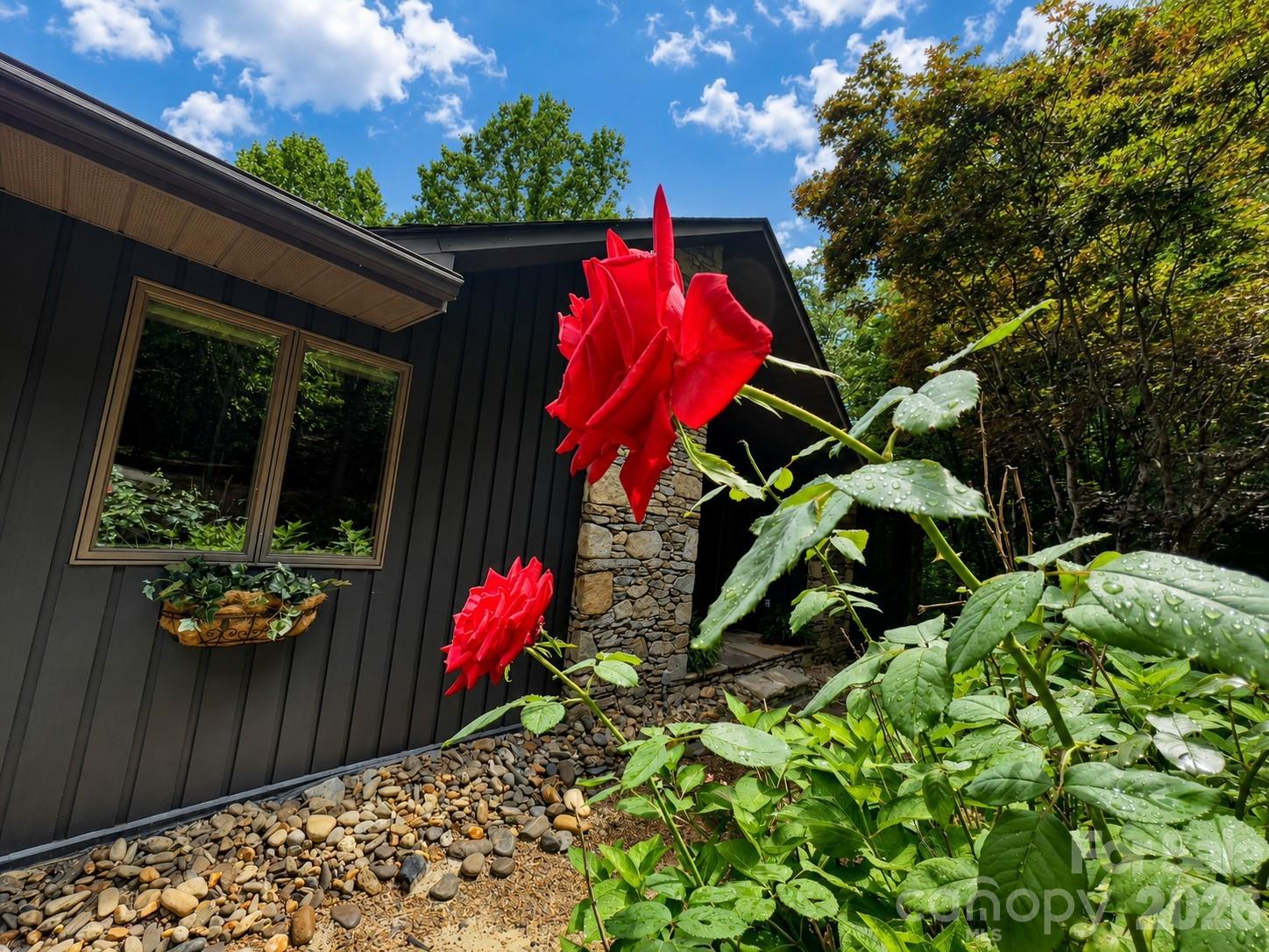 1105 High Vista Drive — Mills River
