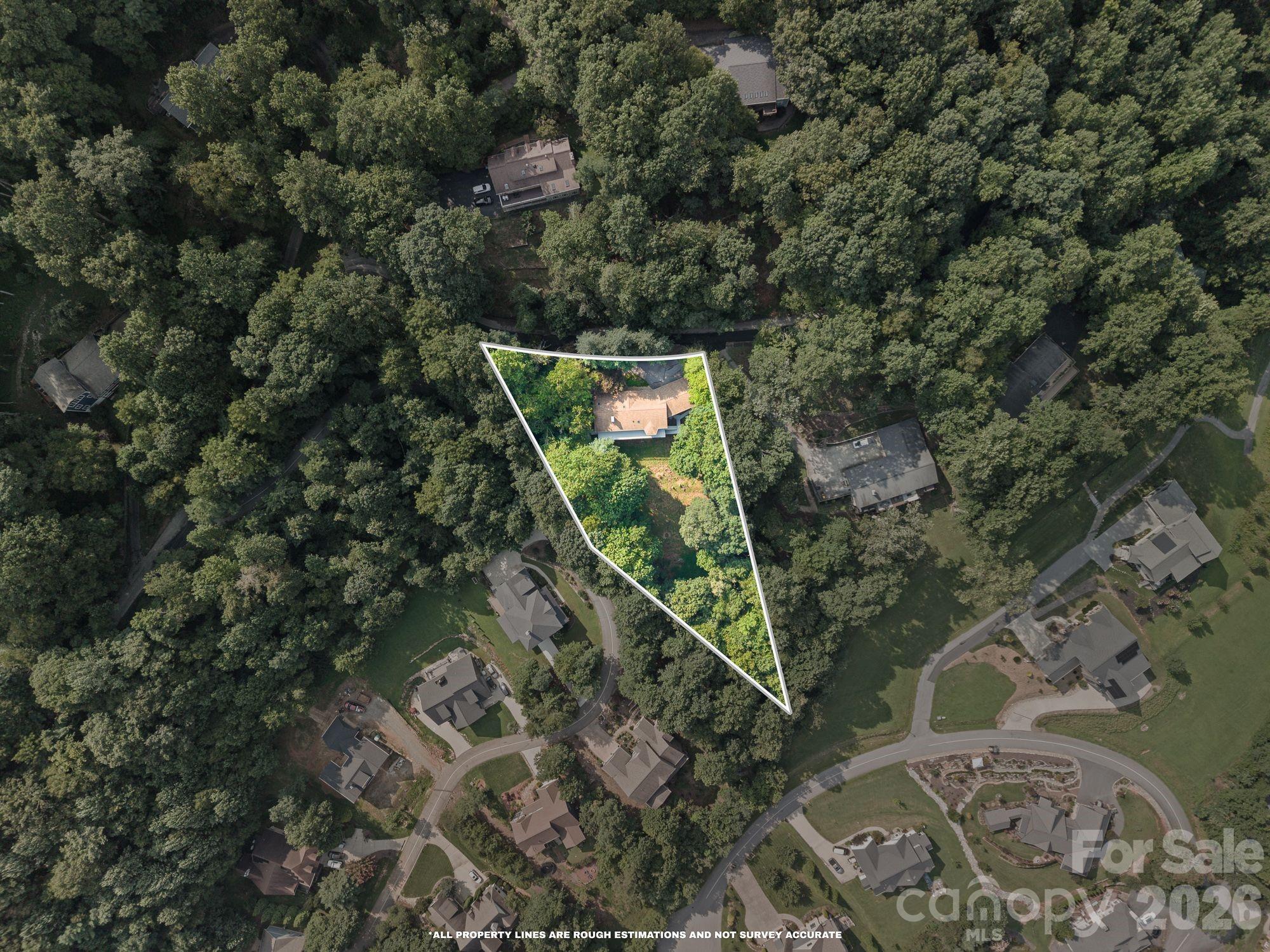 1105 High Vista Drive — Mills River