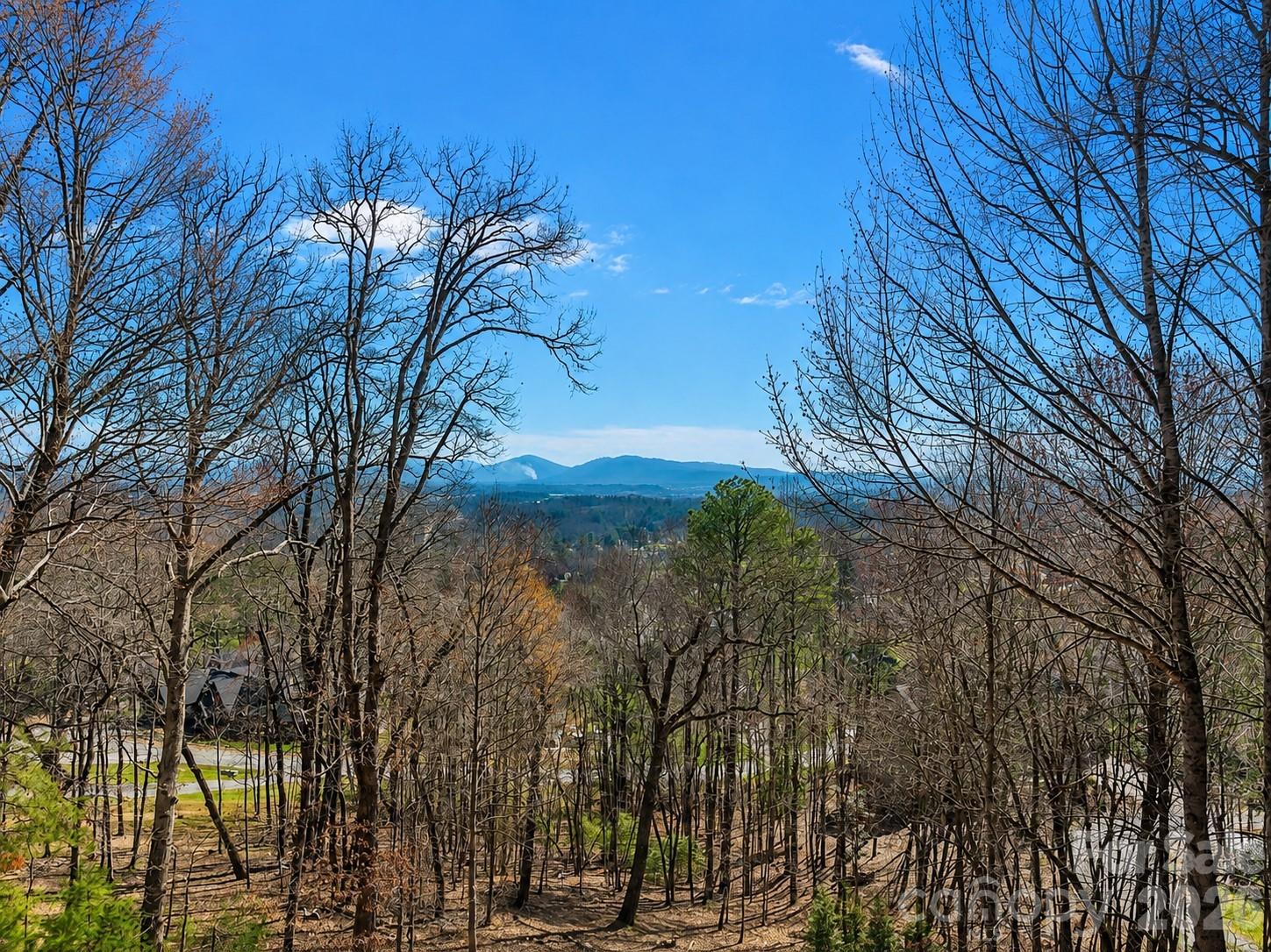 1105 High Vista Drive — Mills River
