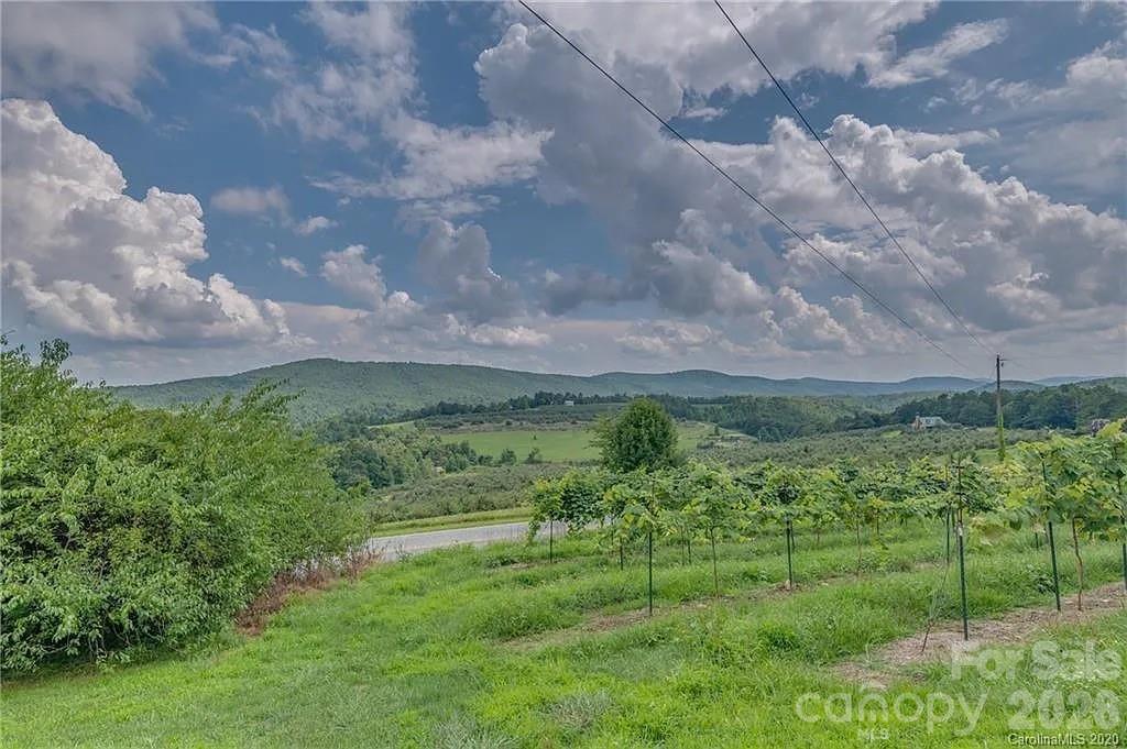 1324 Low Gap Road — Hendersonville