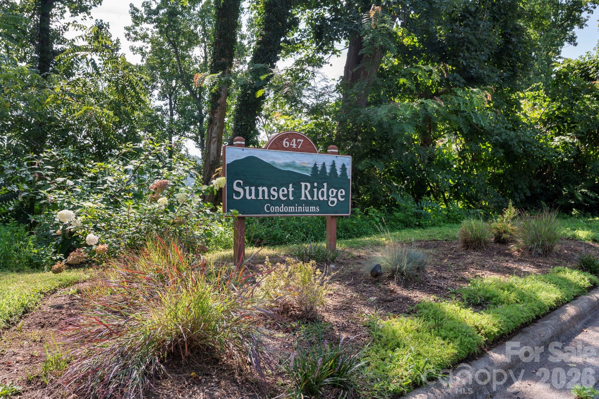 647 Town Mountain Road #105 — Asheville