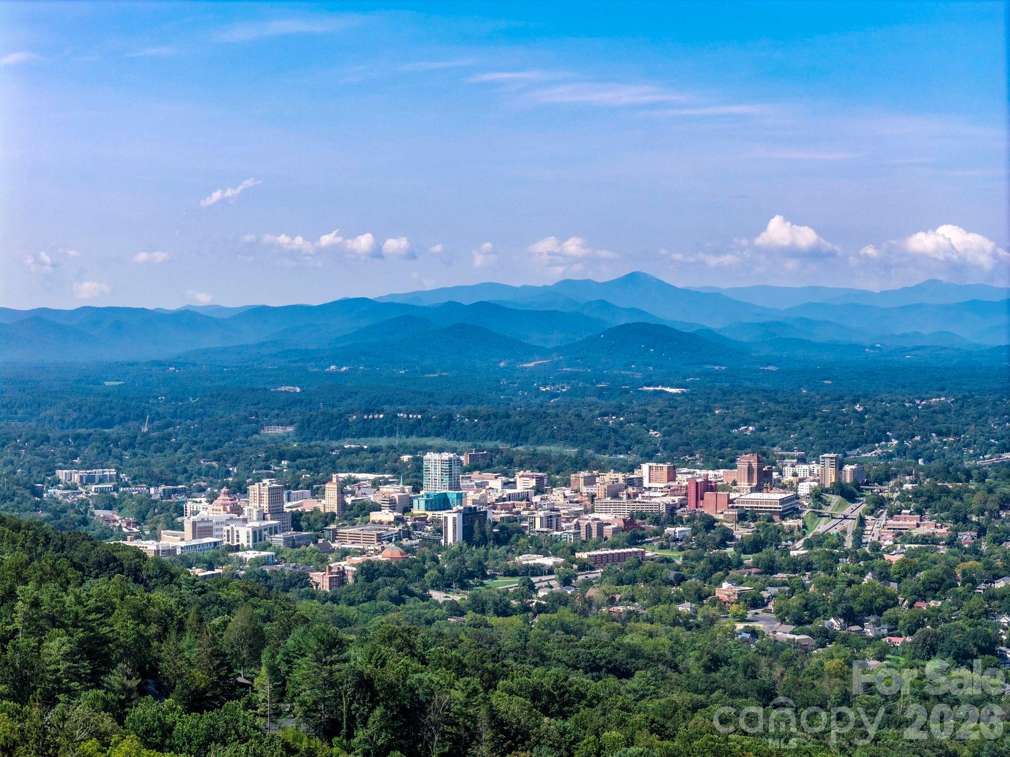 647 Town Mountain Road #105 — Asheville