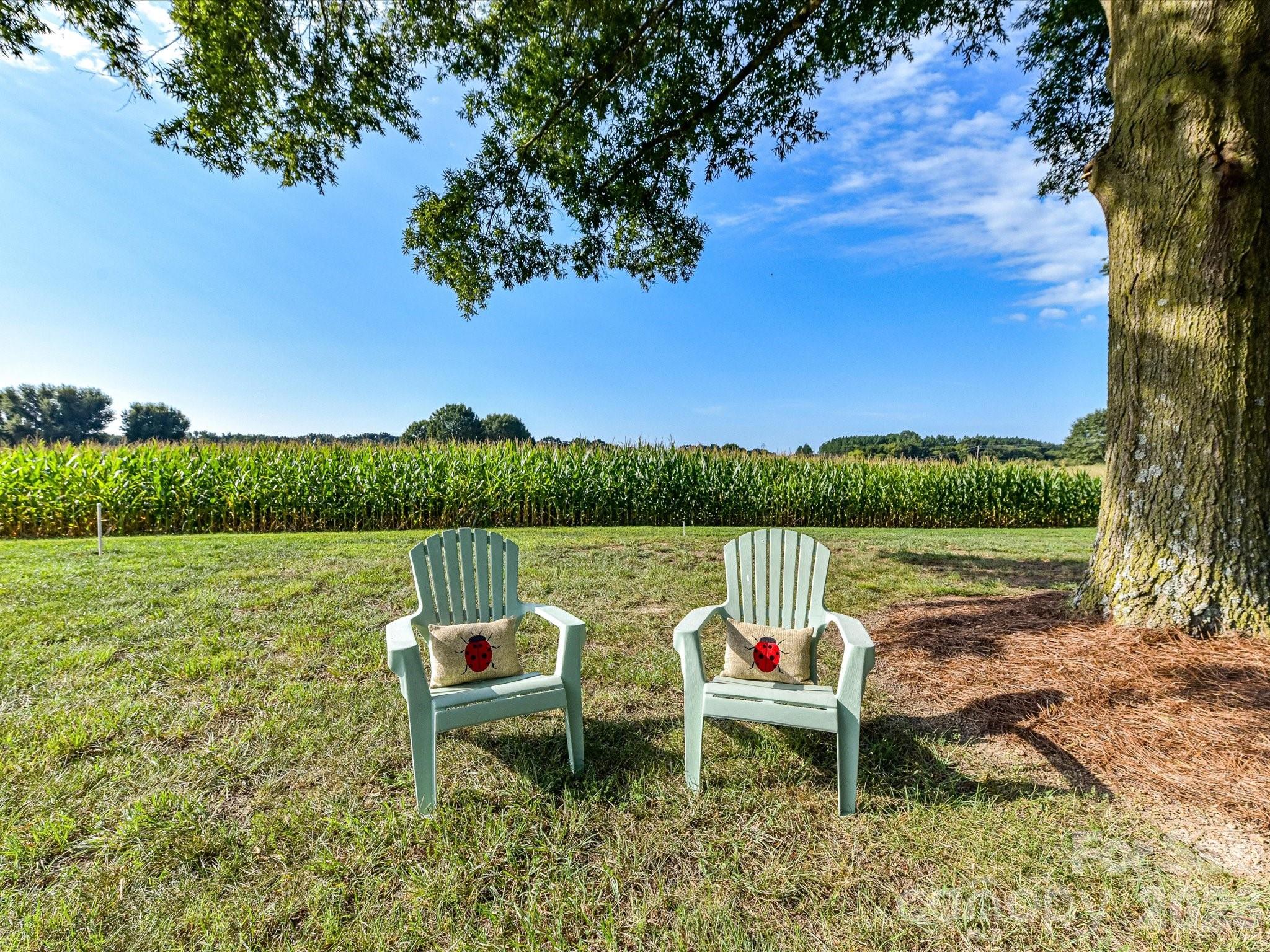 279 James Road — Oakboro