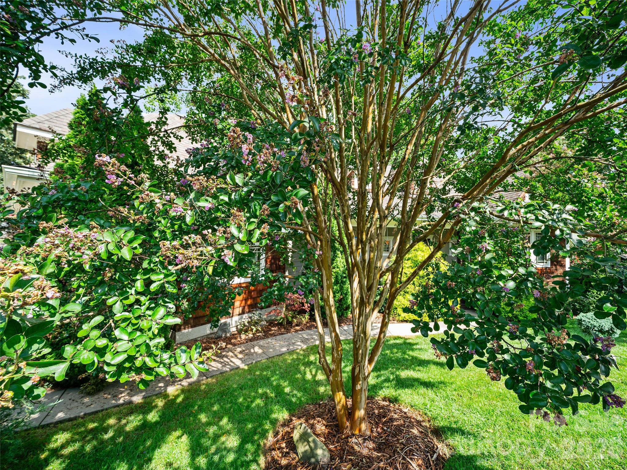 6 Oak Springs Drive — Arden