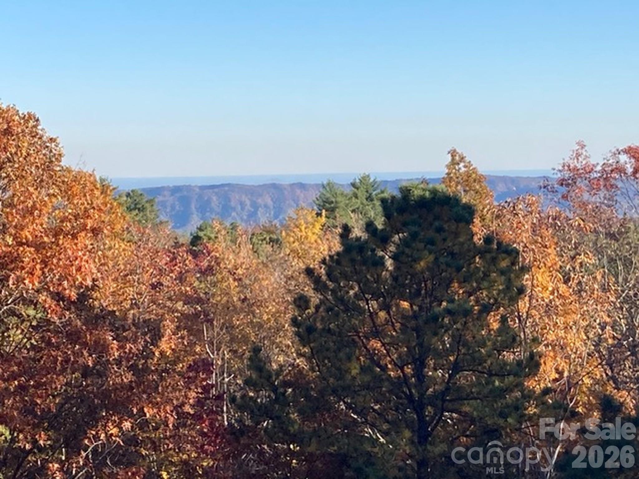 121 Toxaway Views Drive #504 — Lake Toxaway
