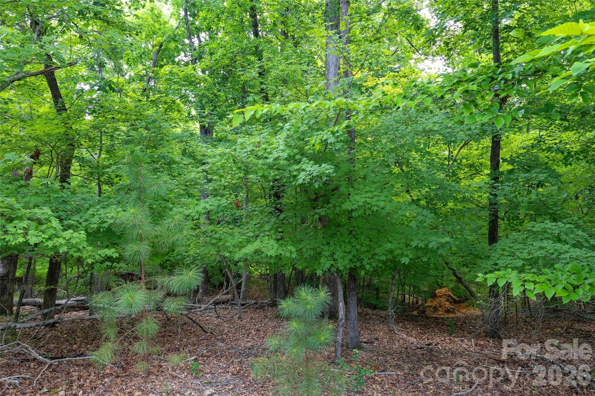 17232 Coves Edge Lane — Charlotte