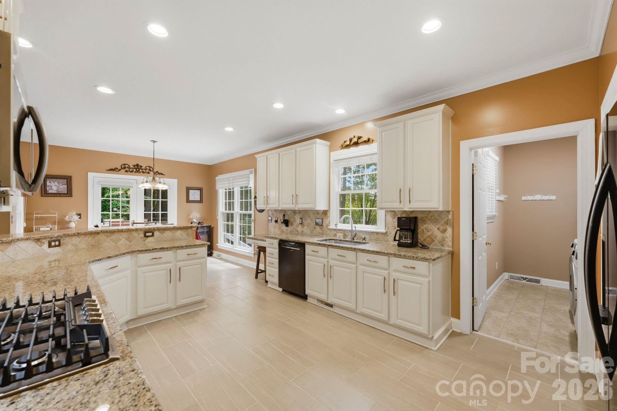 8027 Silver Jade Lane — Denver
