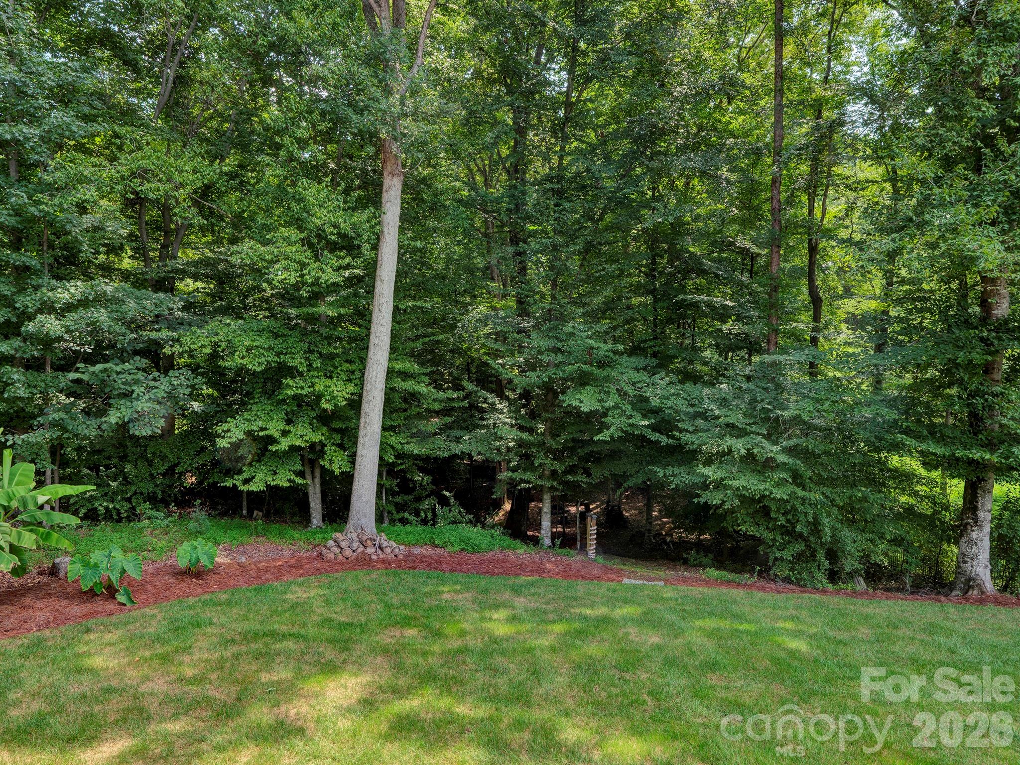 216 Paradise Drive — Belmont