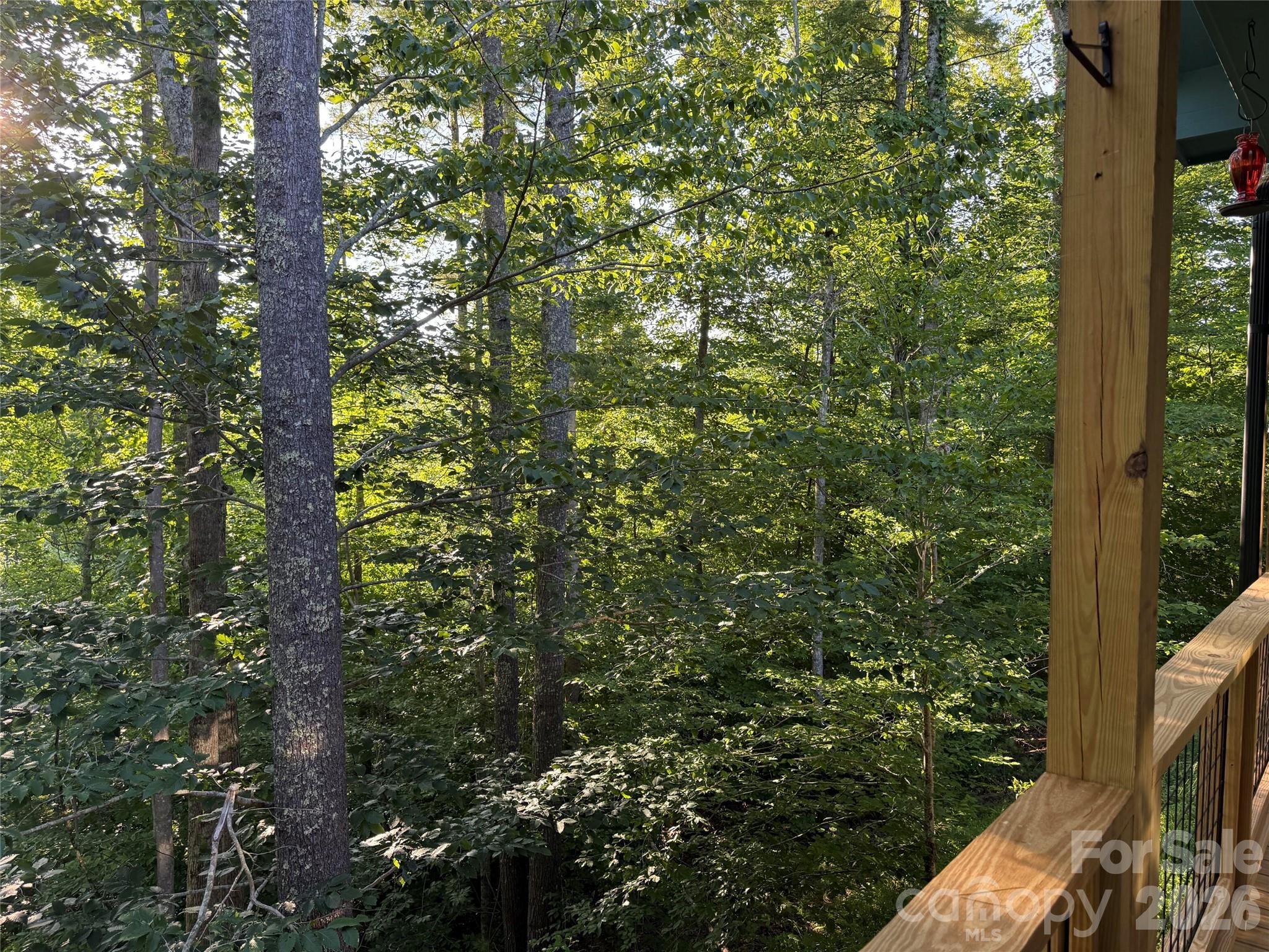 30 Sandys Home Place — Mars Hill