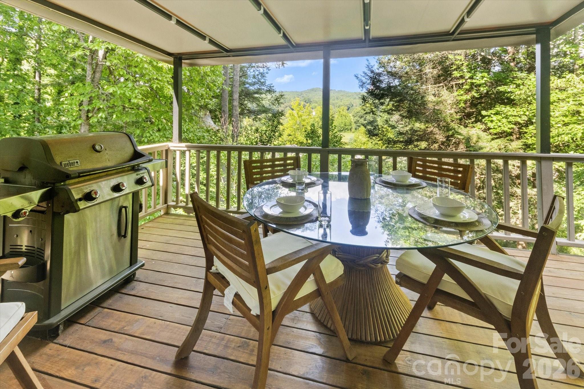 651 Glen Cannon Drive — Pisgah Forest