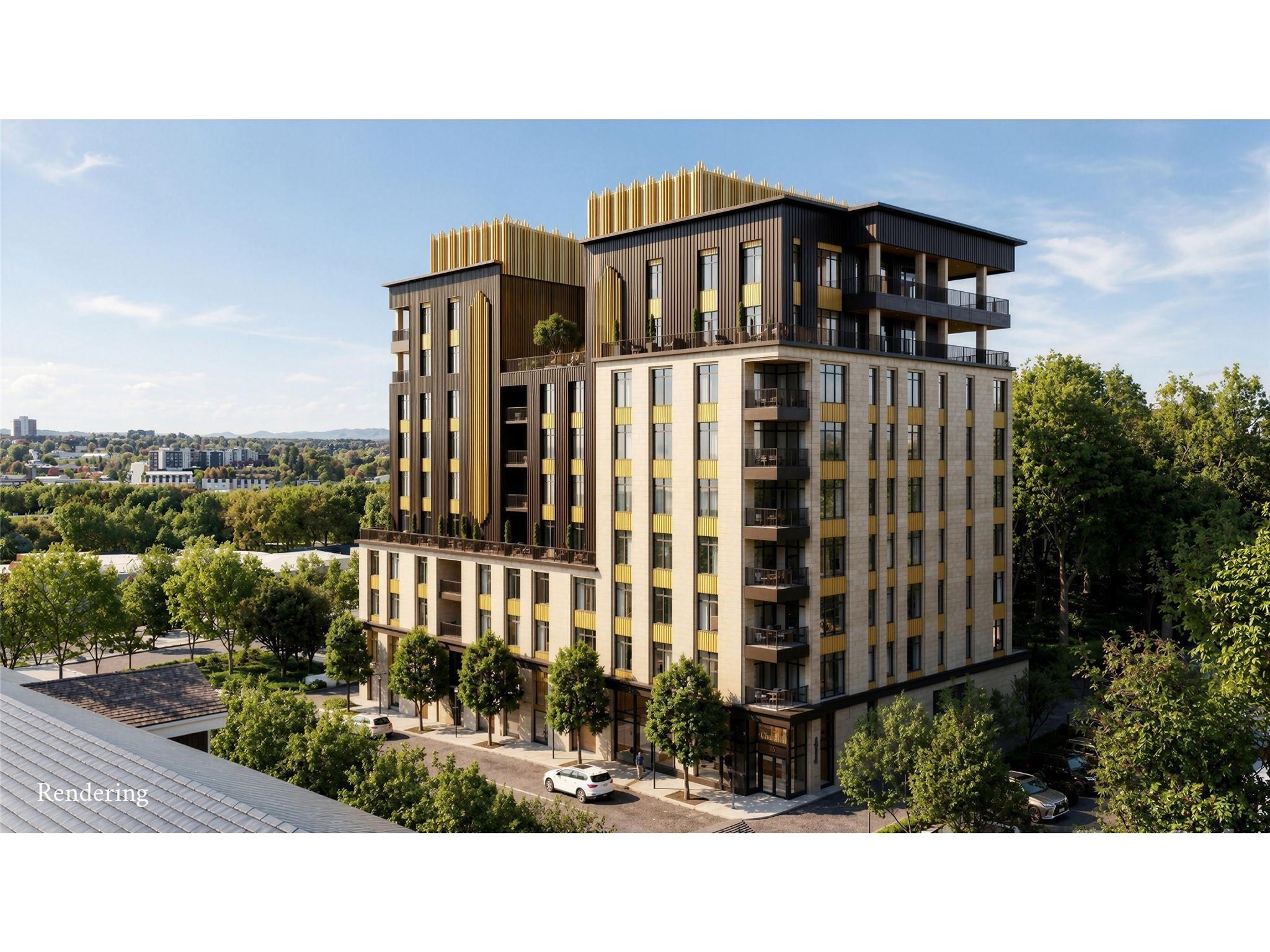 161 Church Street #305 — Asheville