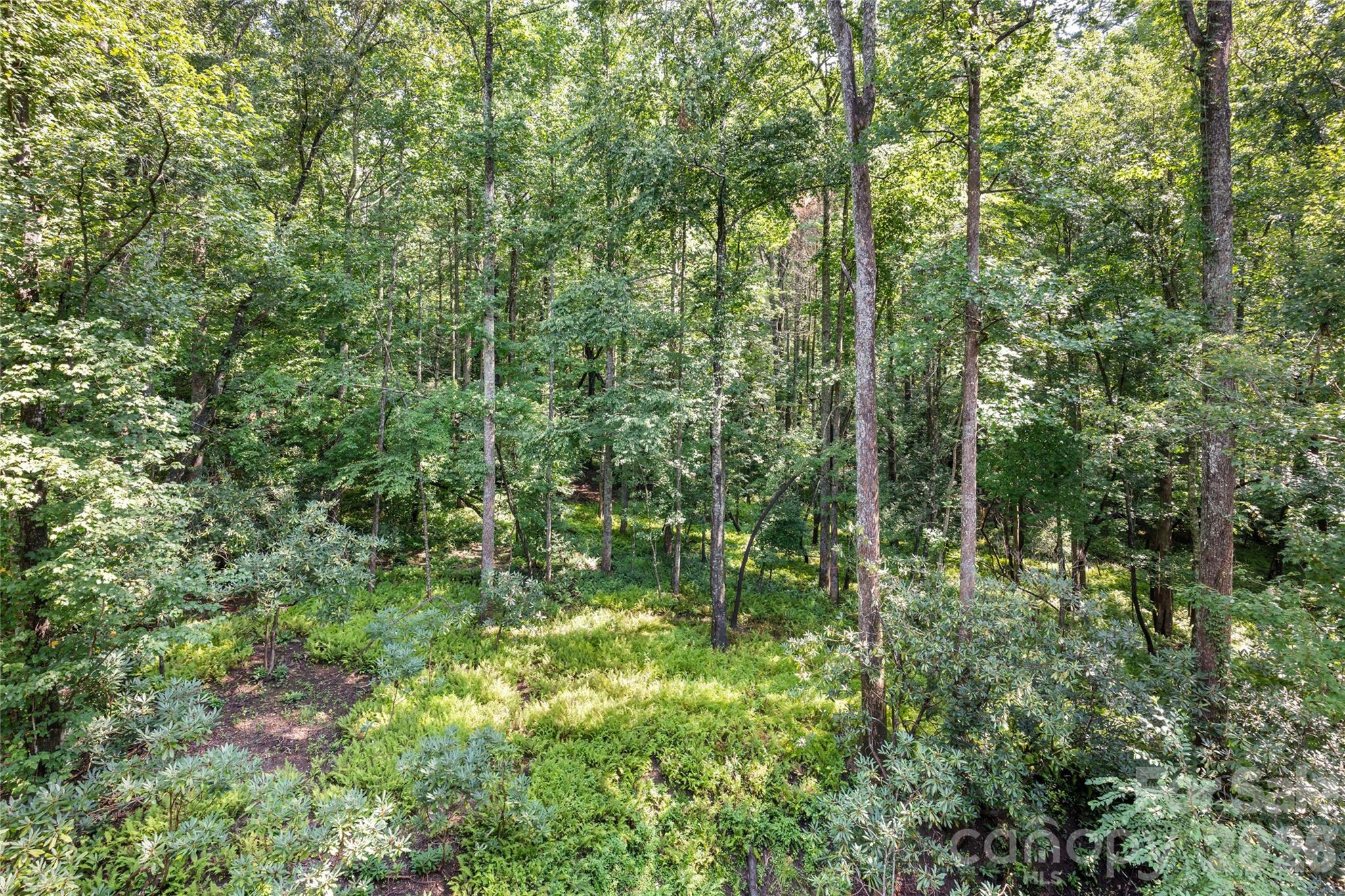 55 Settlers Cove — Brevard