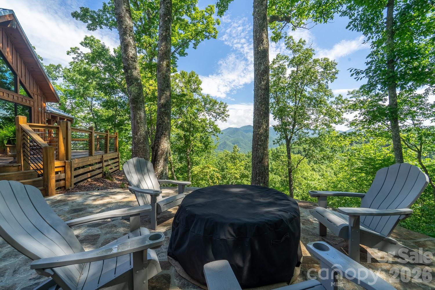 444 Look Out Point — Bryson City