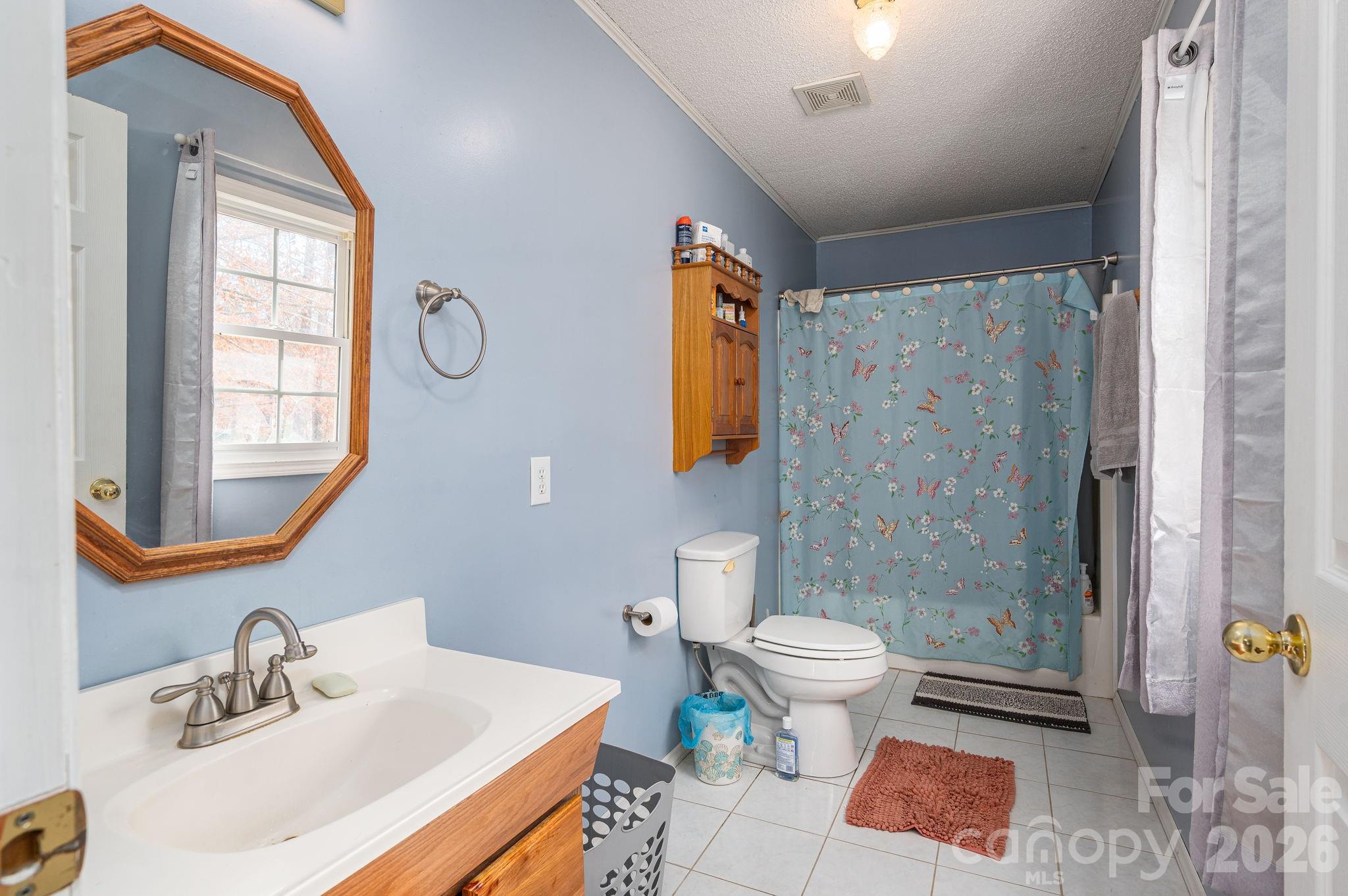 1011 Lester Trail — Iron Station