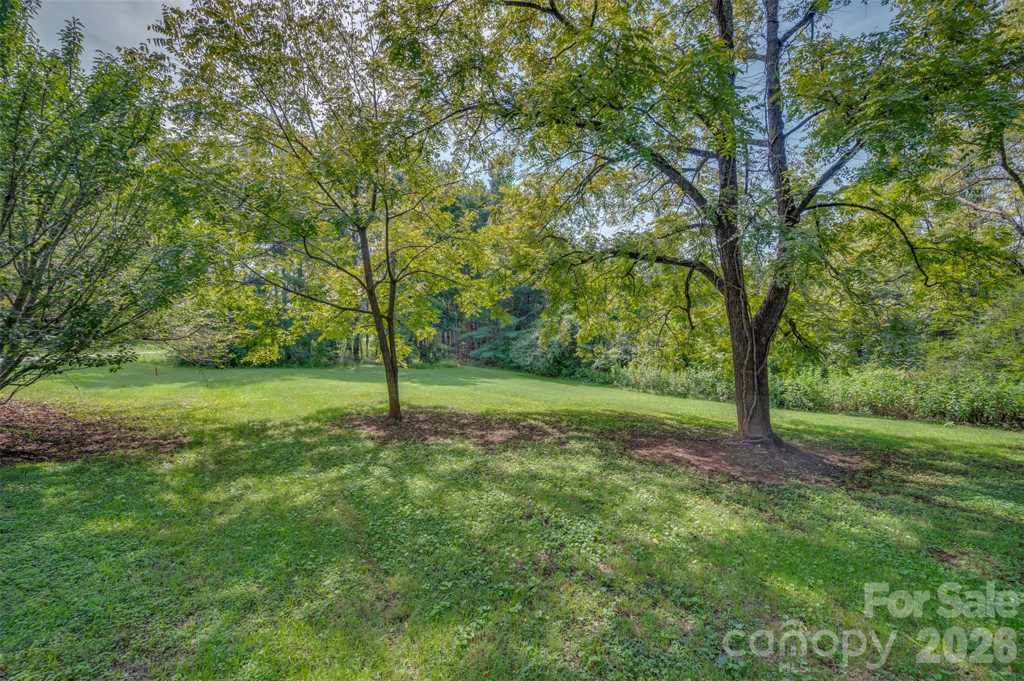 2300 Whitesides Road — Forest City