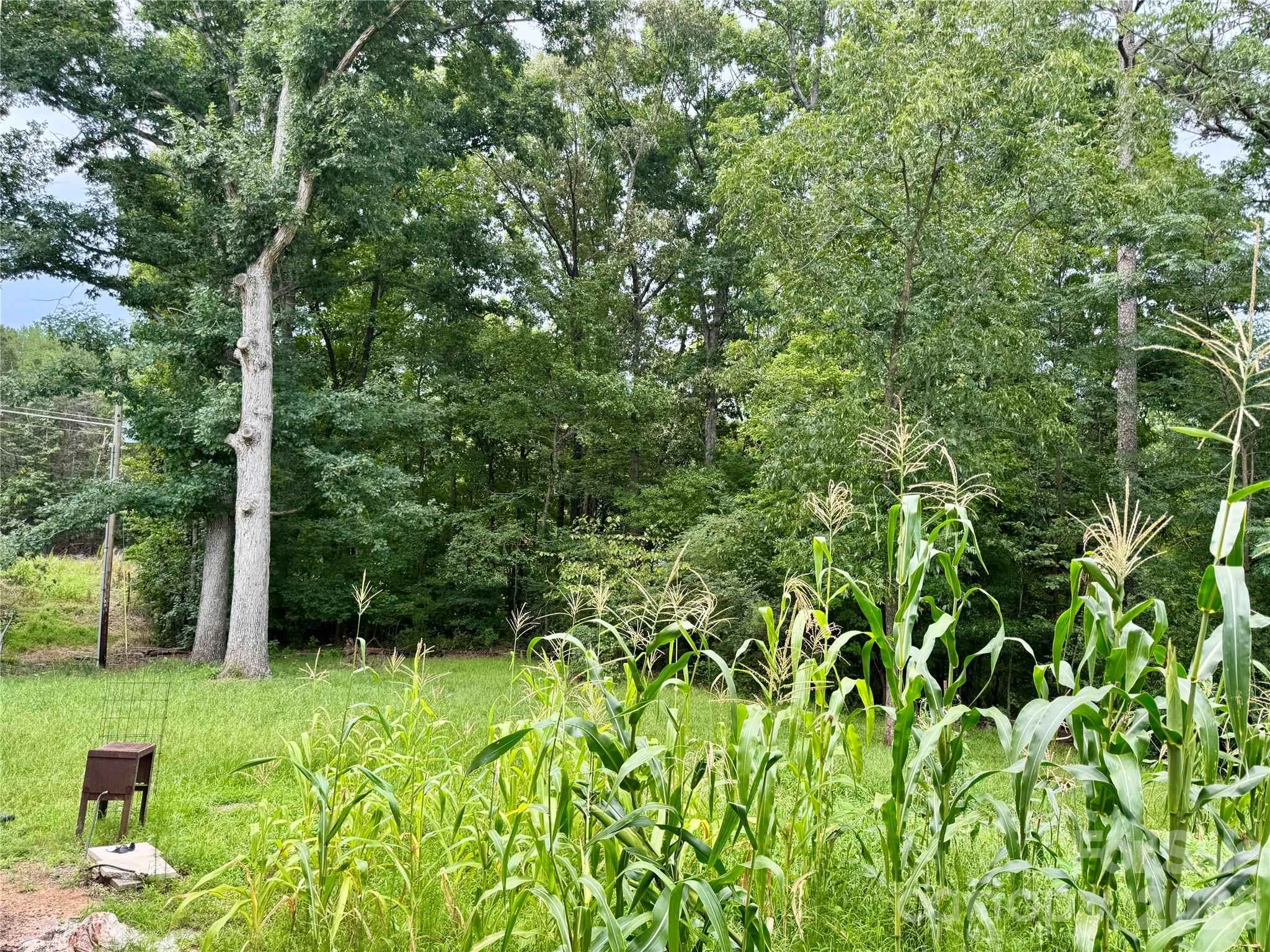 430 Russell Road — Polkton