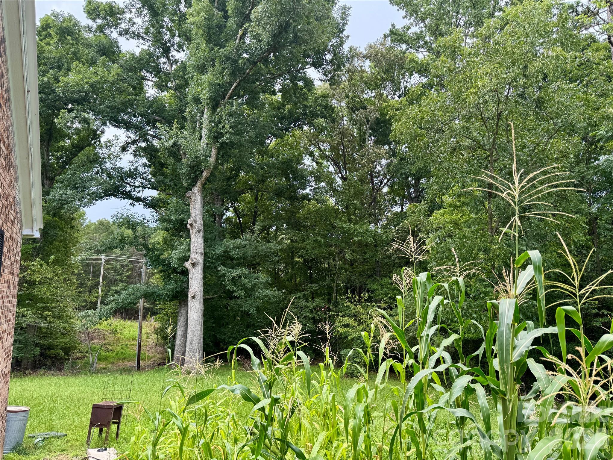 430 Russell Road — Polkton