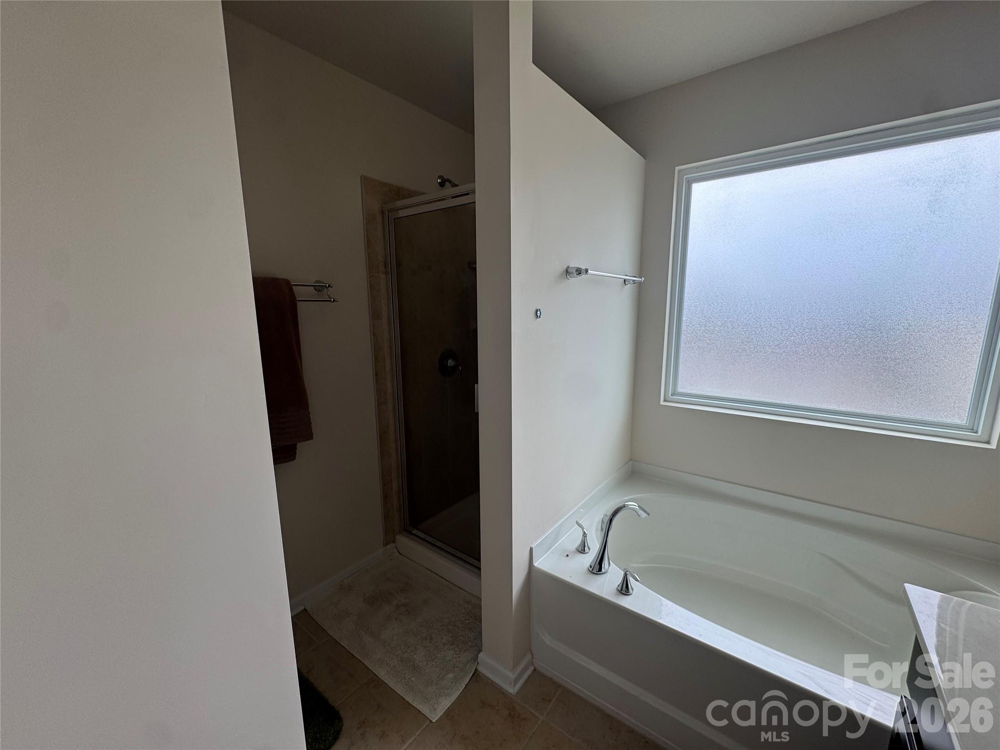 19010 Lake Breeze Drive — Cornelius