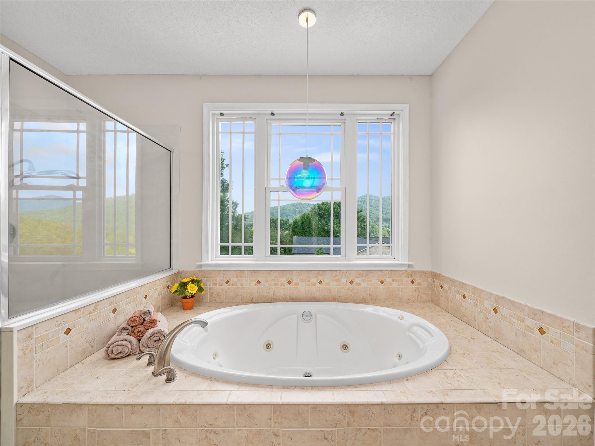 119 Horseshoe Trail — Barnardsville