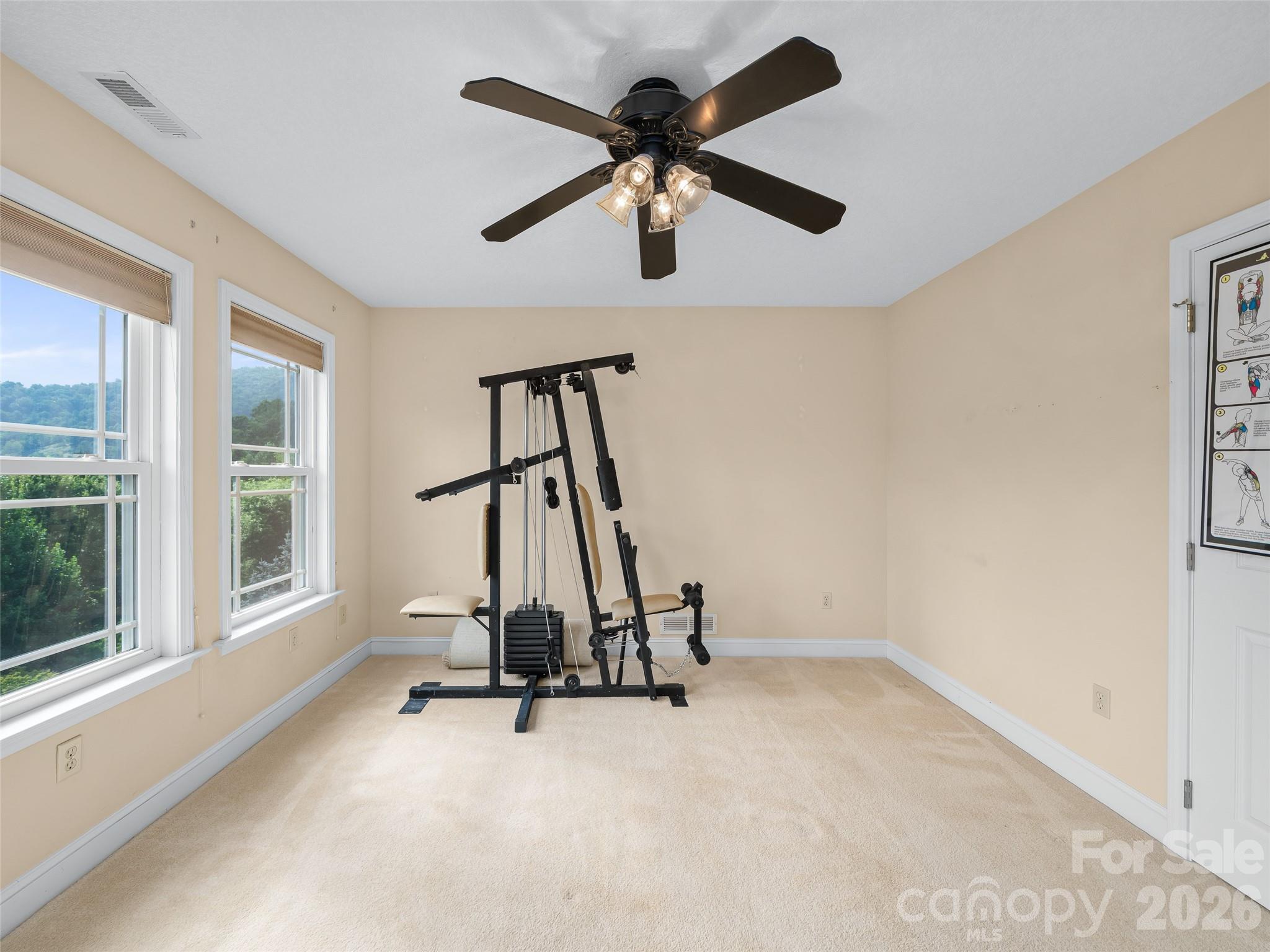 119 Horseshoe Trail — Barnardsville
