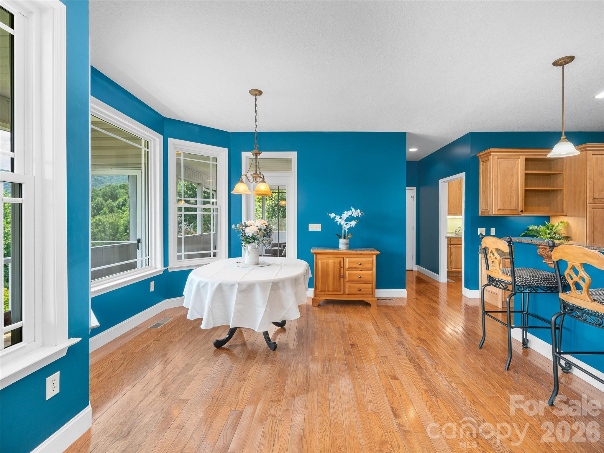 119 Horseshoe Trail — Barnardsville