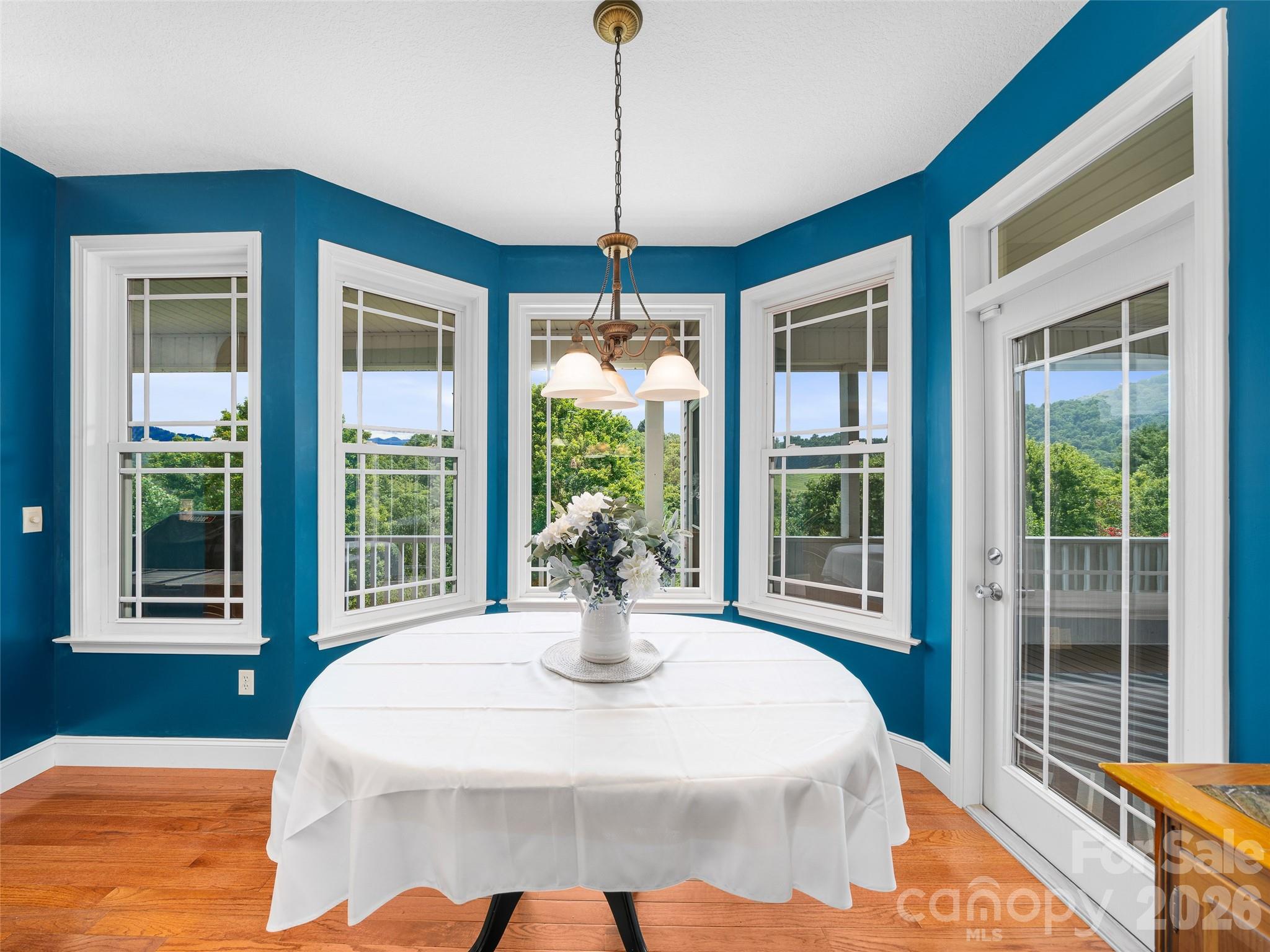 119 Horseshoe Trail — Barnardsville