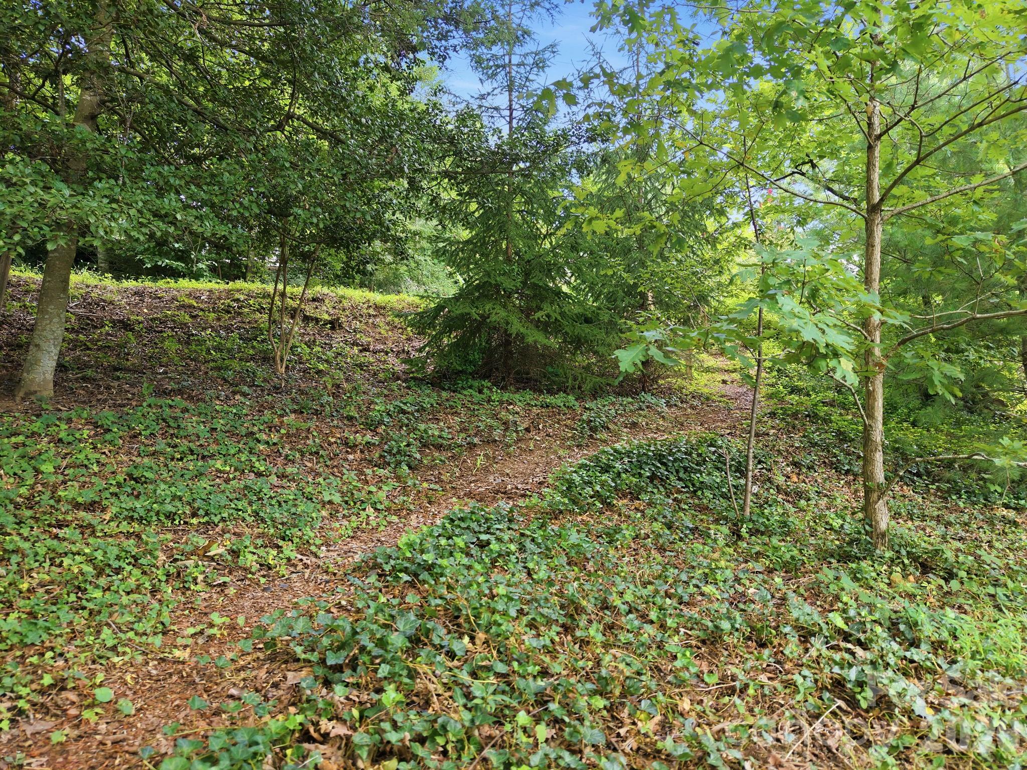 45 Woodvale Avenue — Asheville