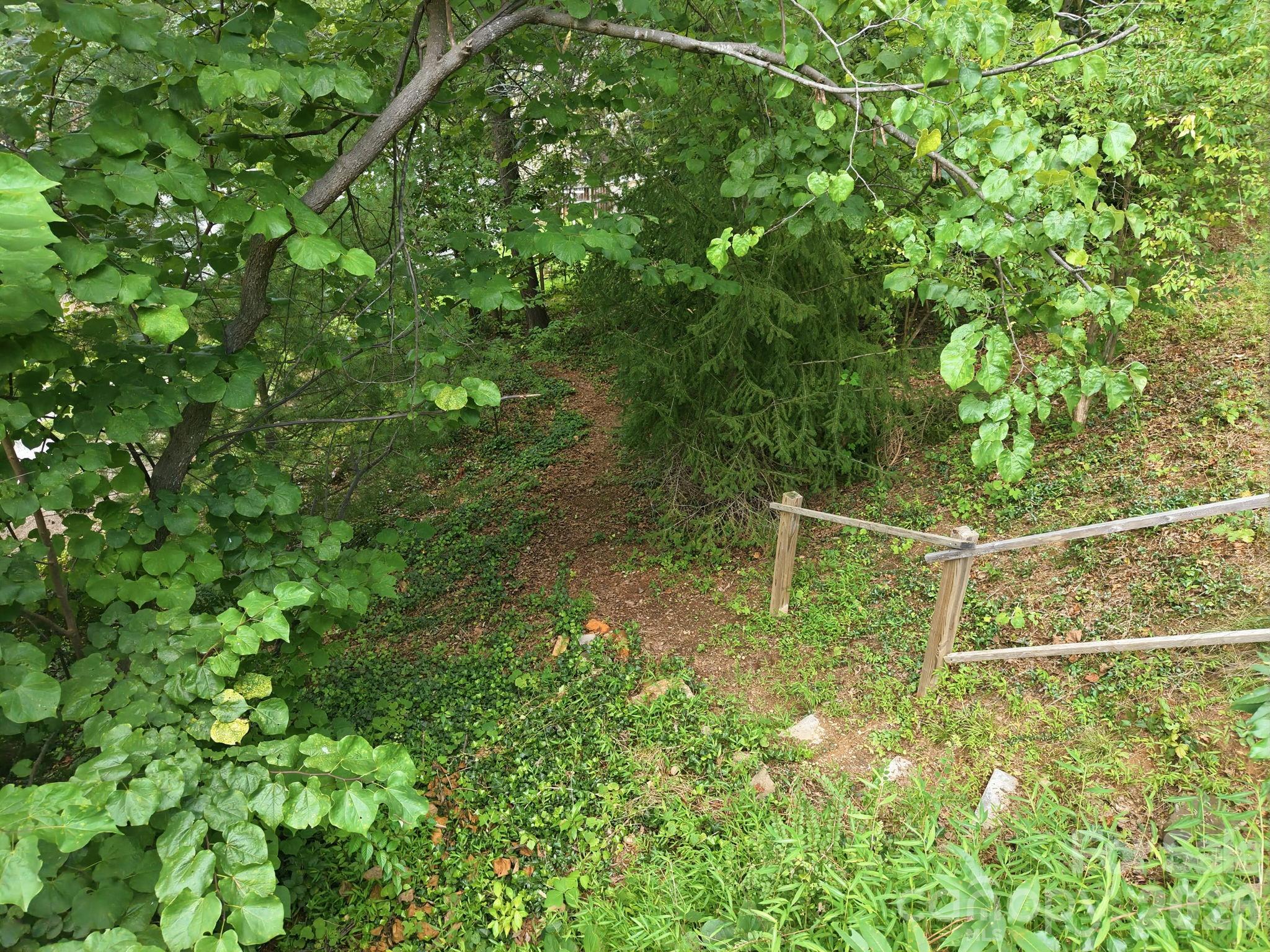 45 Woodvale Avenue — Asheville