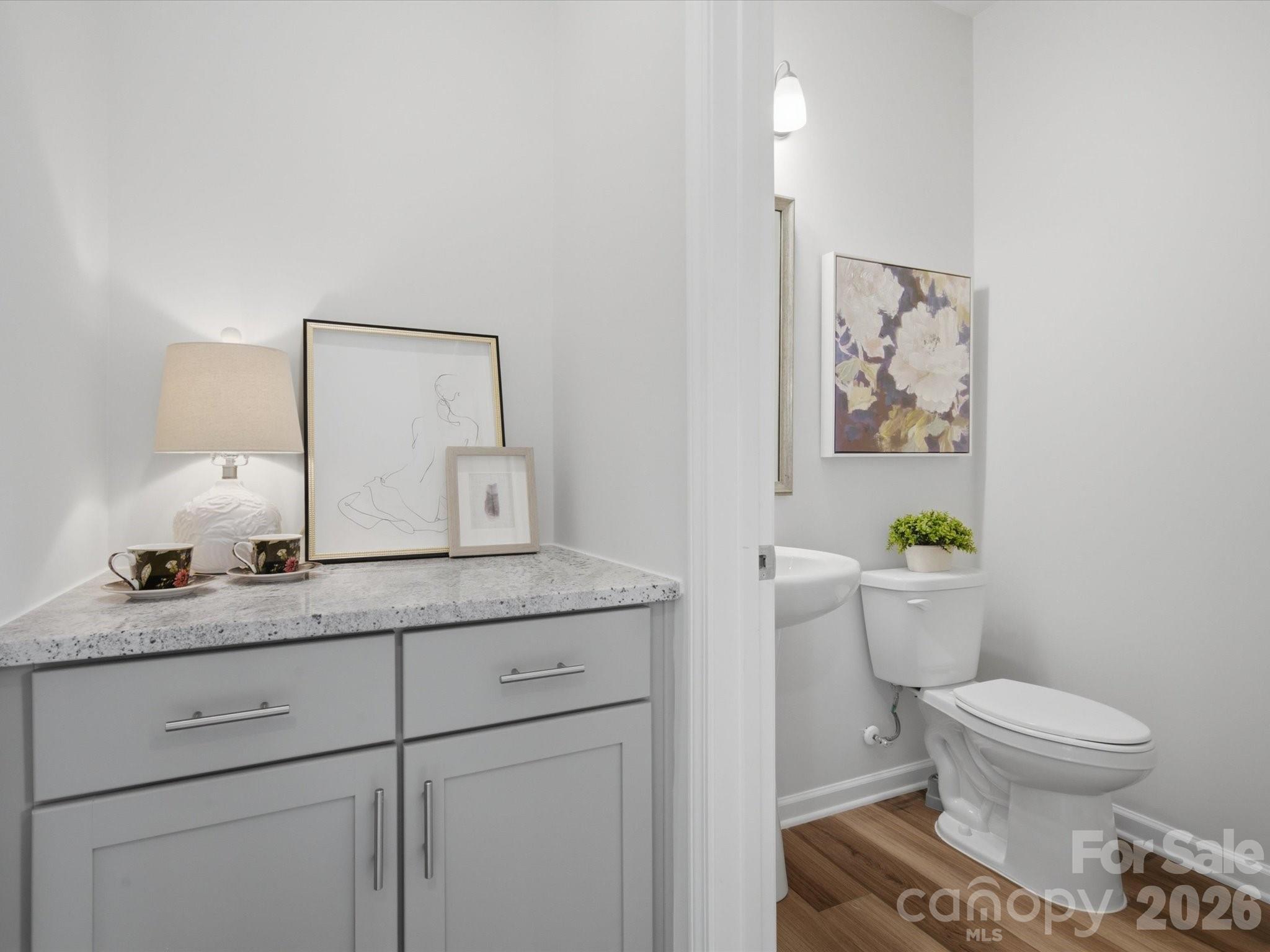 10126 Hemingway Place — Charlotte