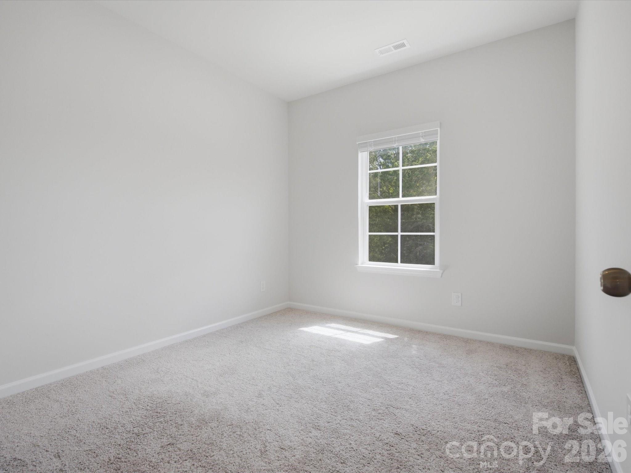 10126 Hemingway Place — Charlotte