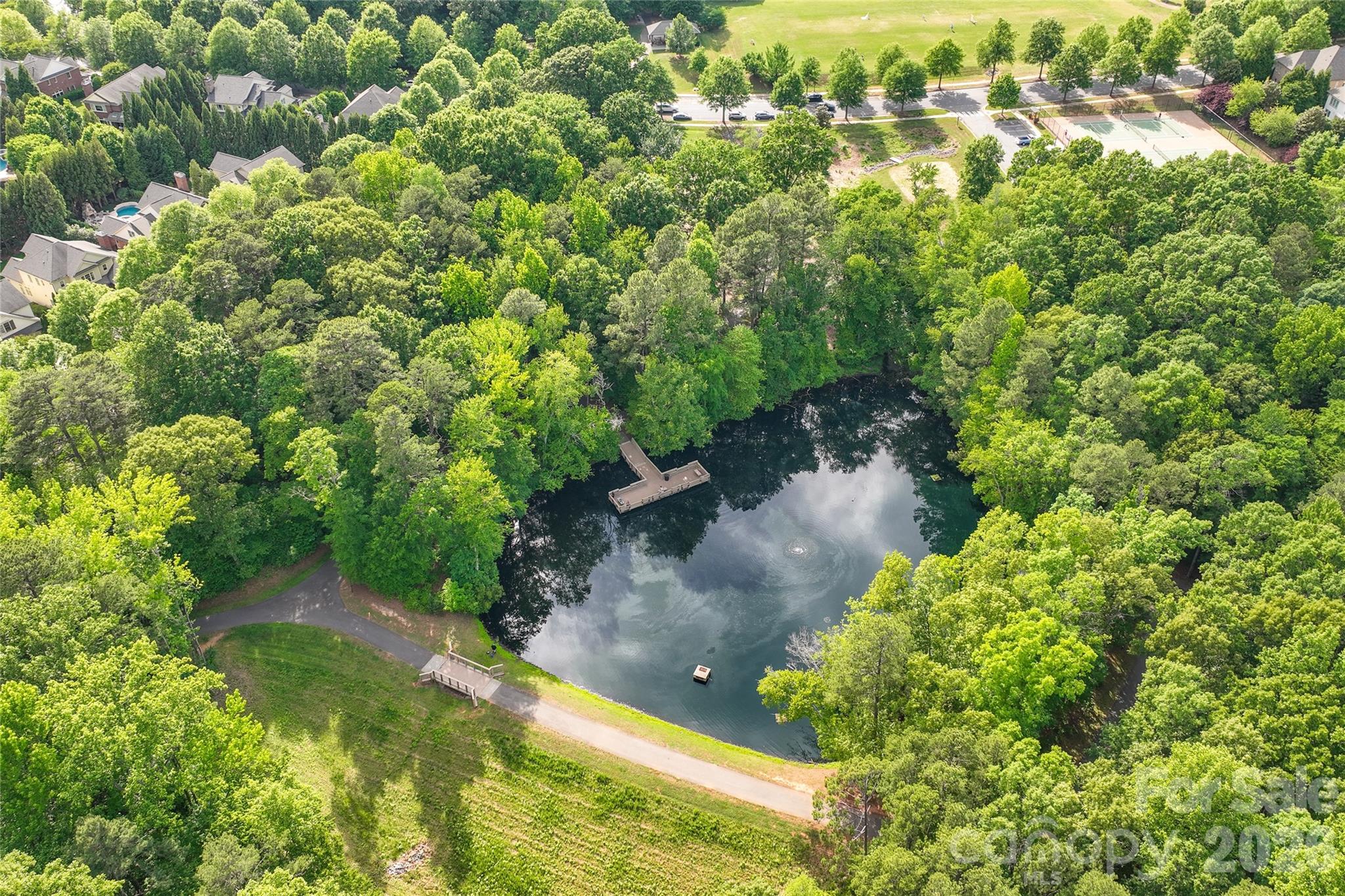 9223 Robbins Preserve Road — Cornelius