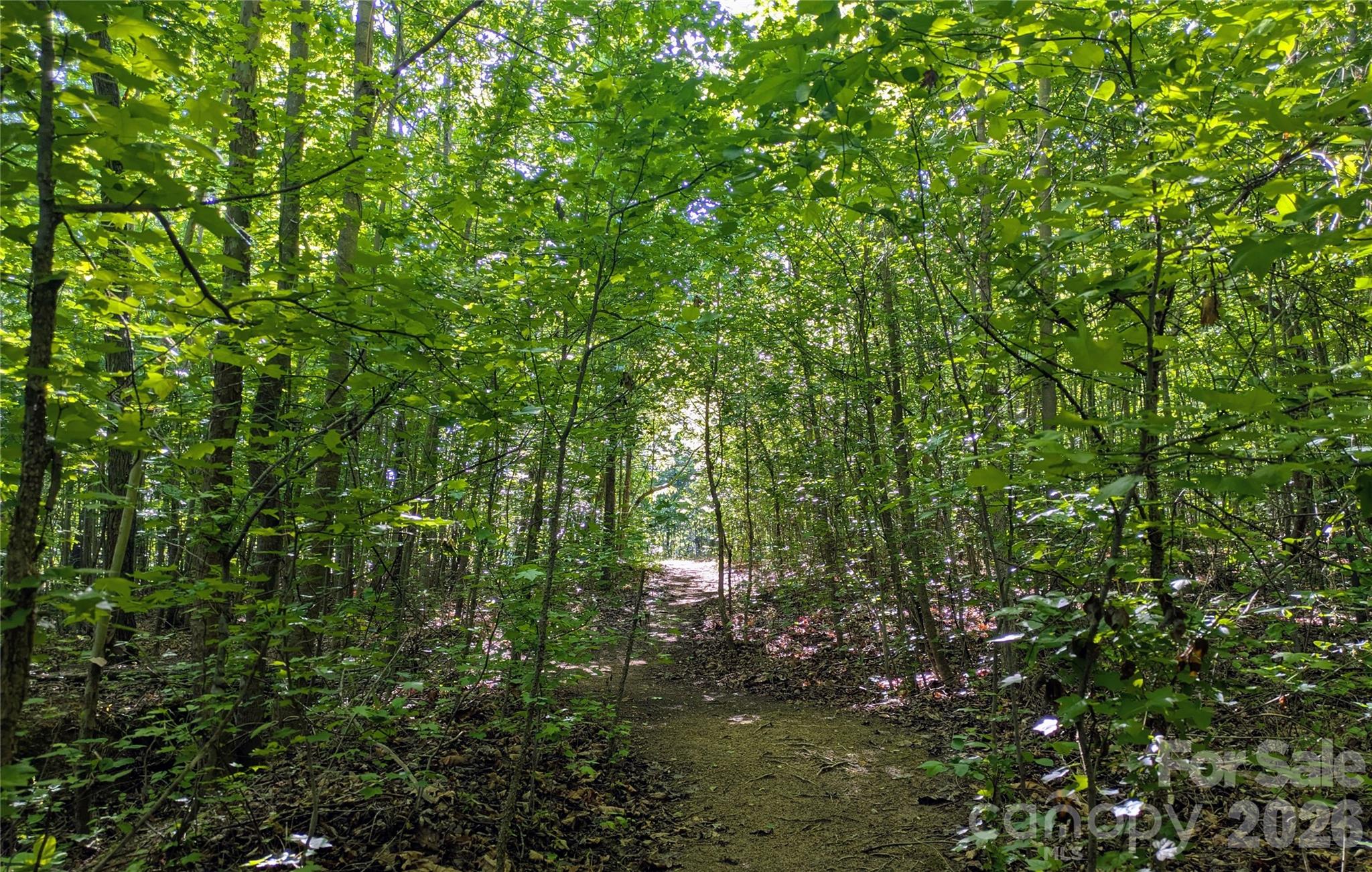 3985 Mt Hope Church Road — Salisbury