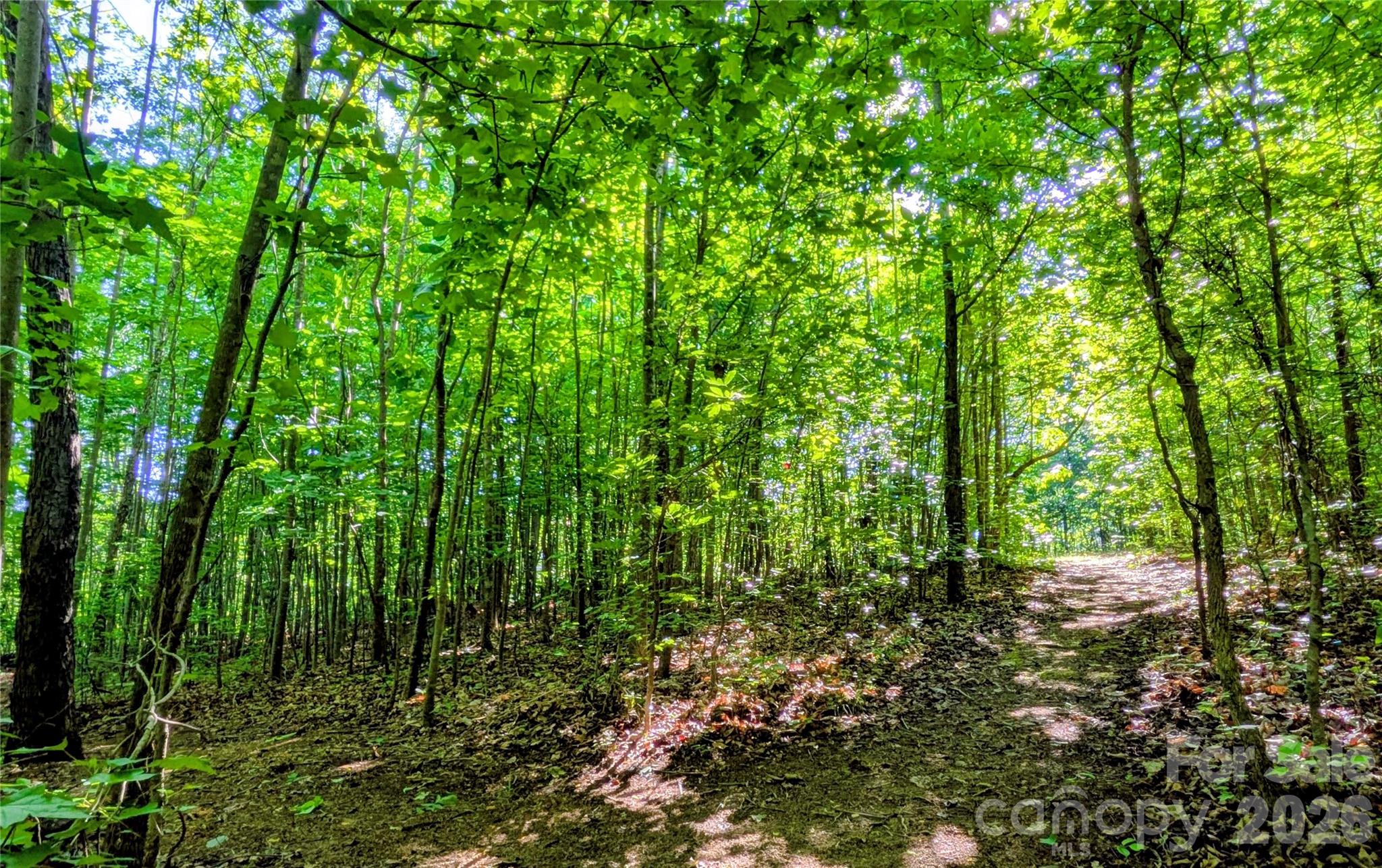 3985 Mt Hope Church Road — Salisbury