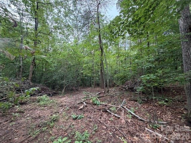 651  BISHS WAY, Bishs Way — Lincolnton