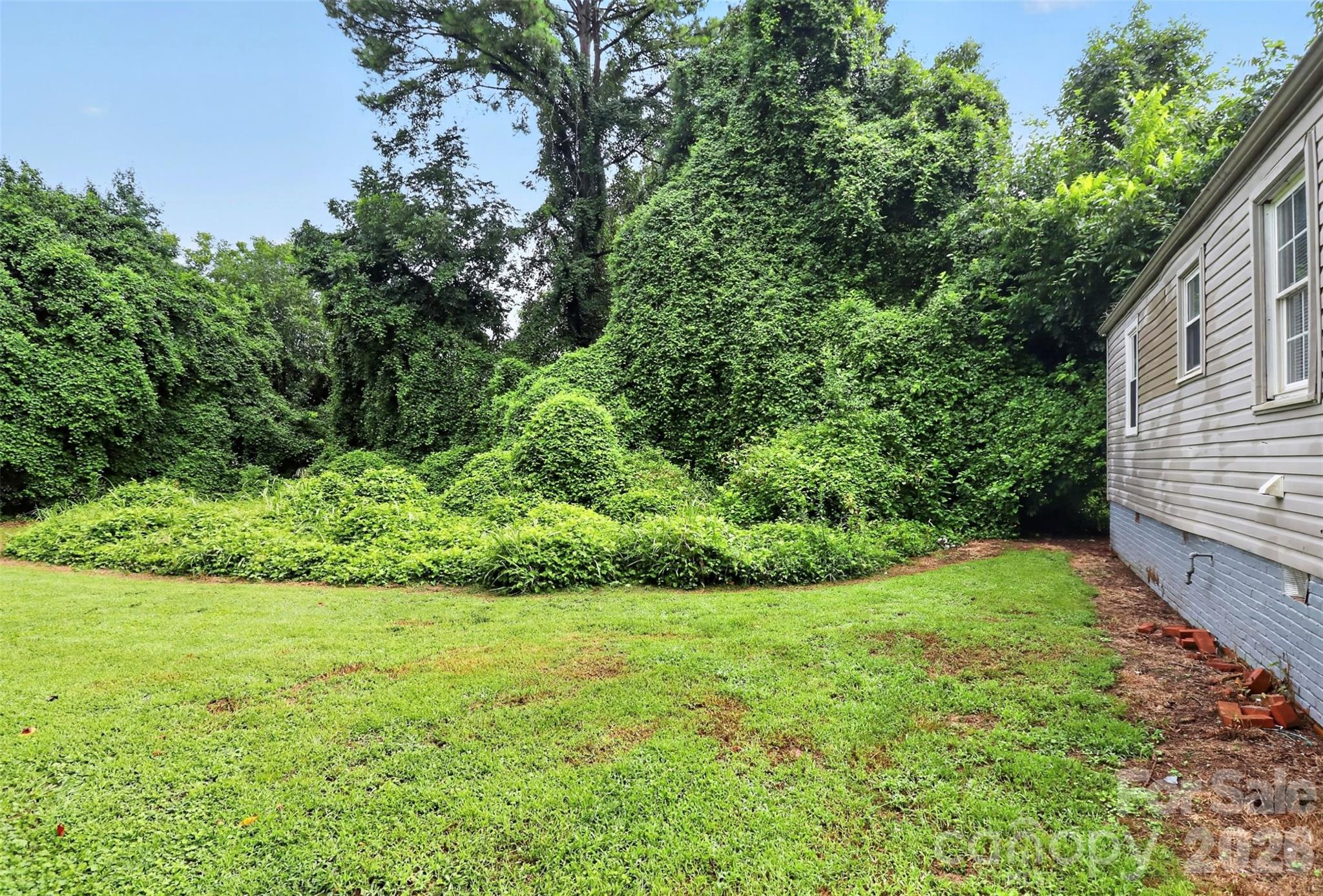 2341 Arden Street — Charlotte