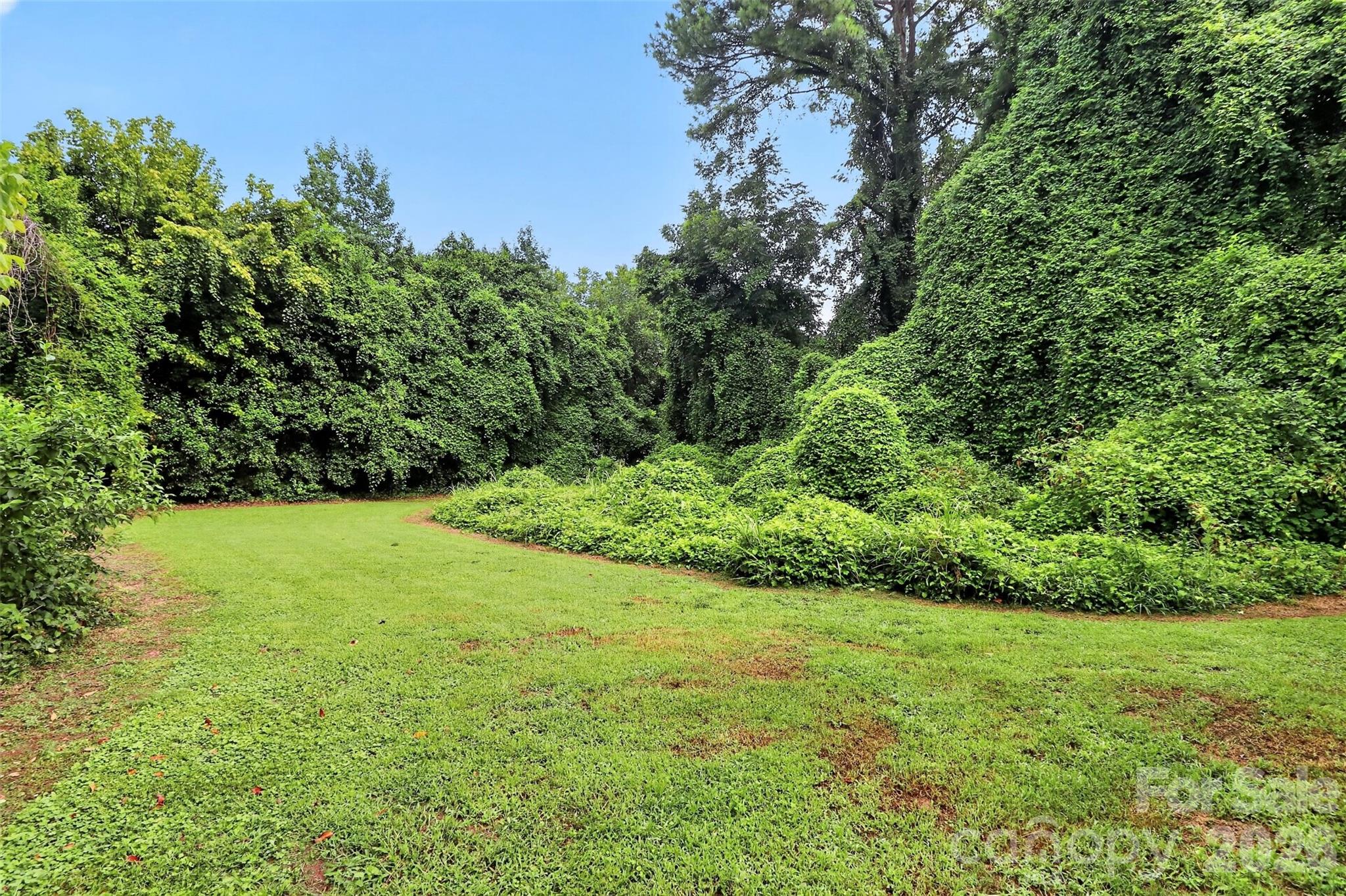 2341 Arden Street — Charlotte